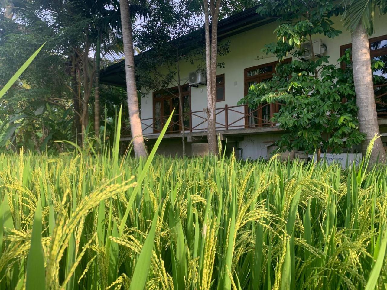Heritance Bungalow Anuradhapura