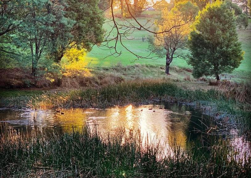 Paradiso Kinglake