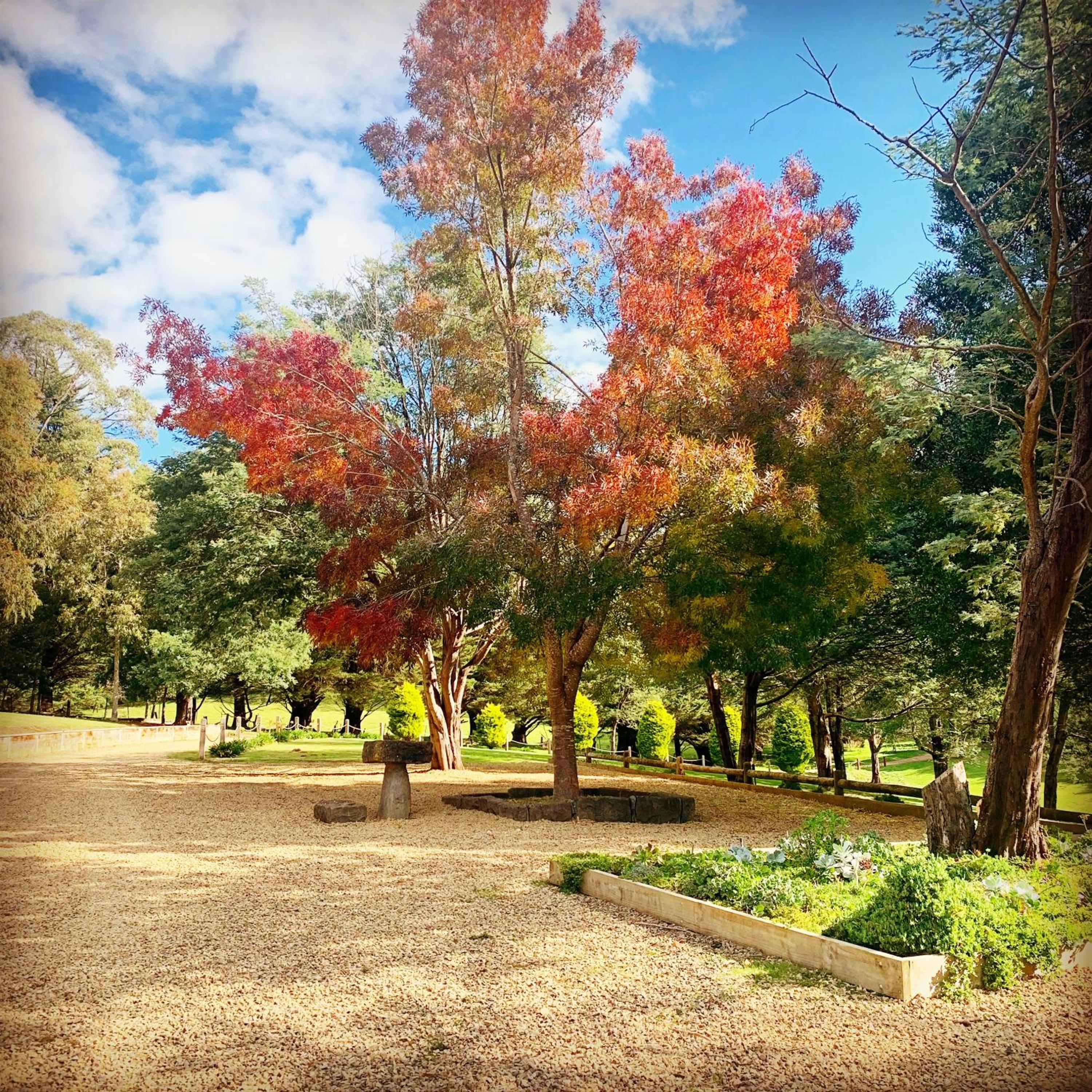 Paradiso Kinglake