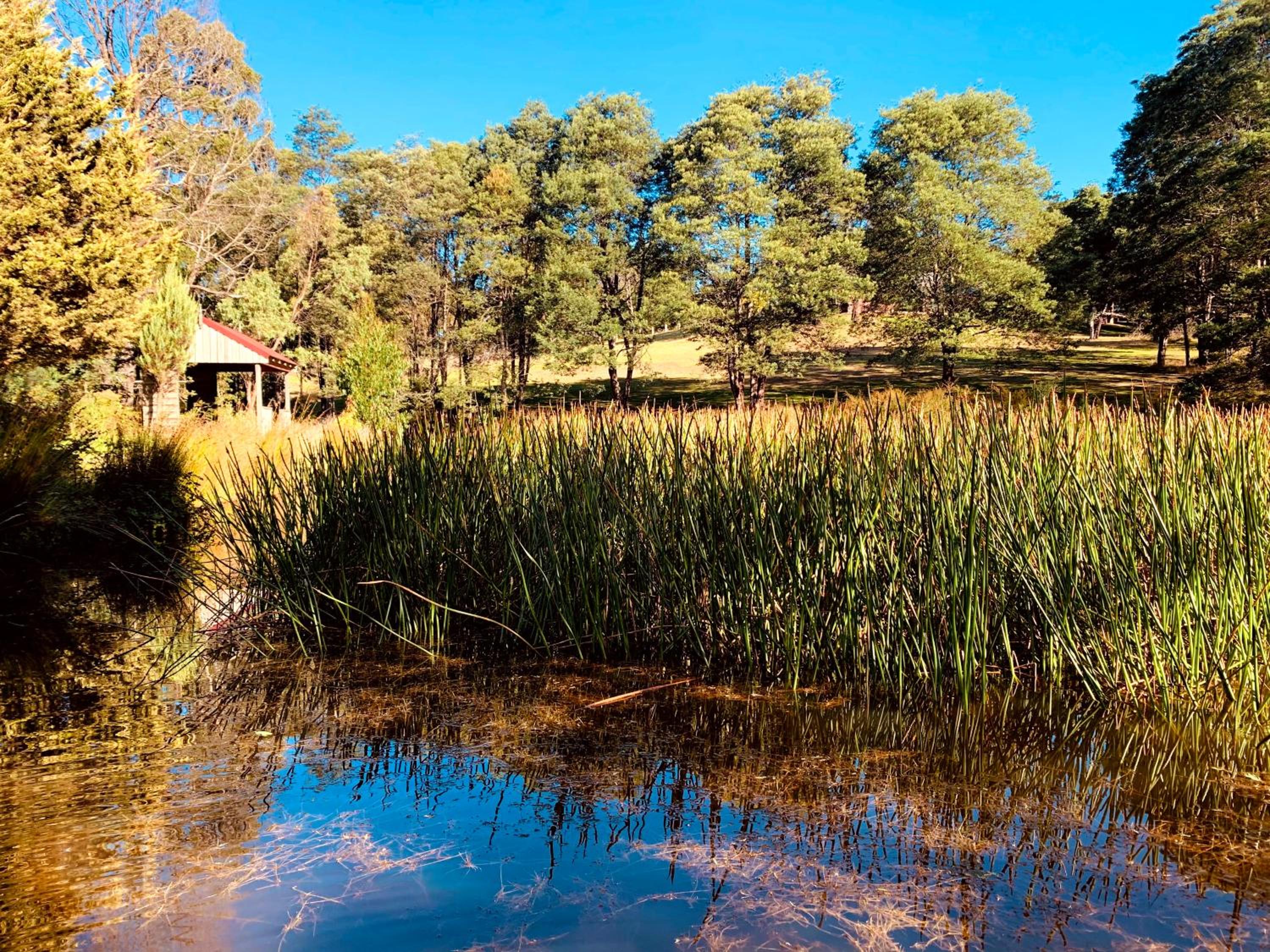 Paradiso Kinglake