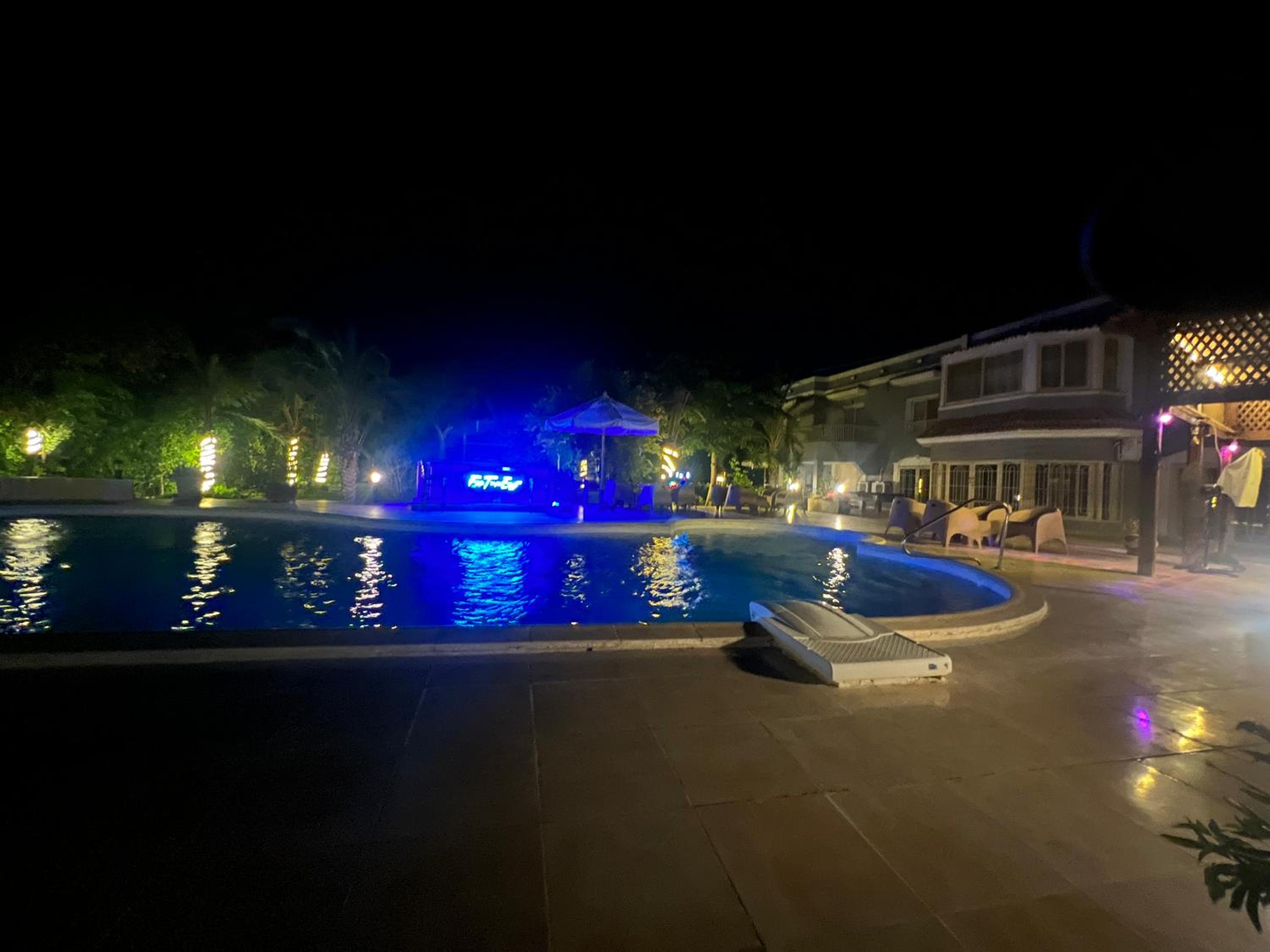 Egypt Oasis