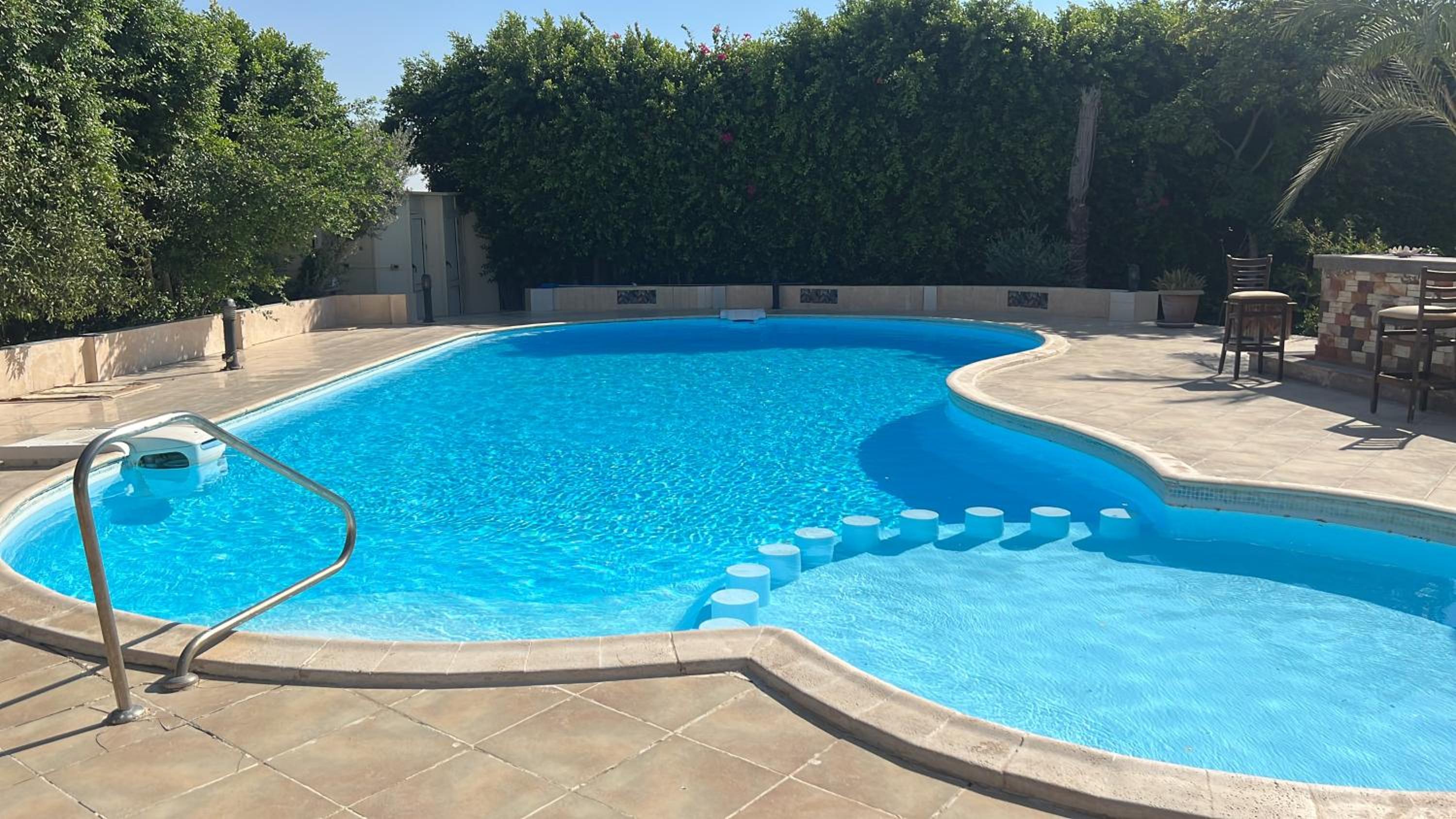 Egypt Oasis