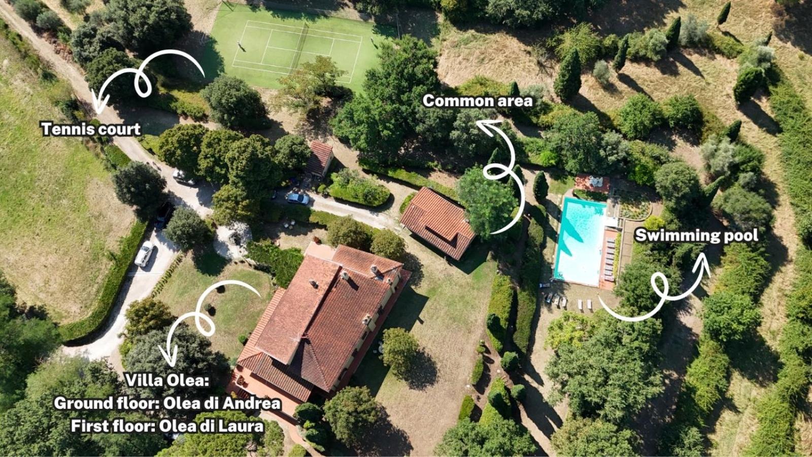 Villa Olea