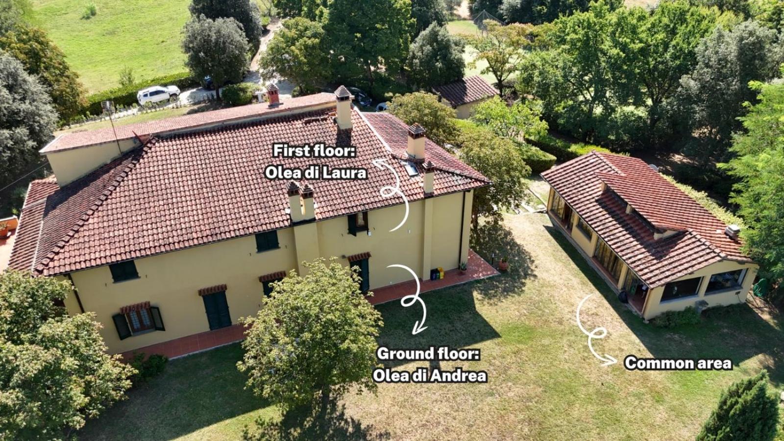 Villa Olea