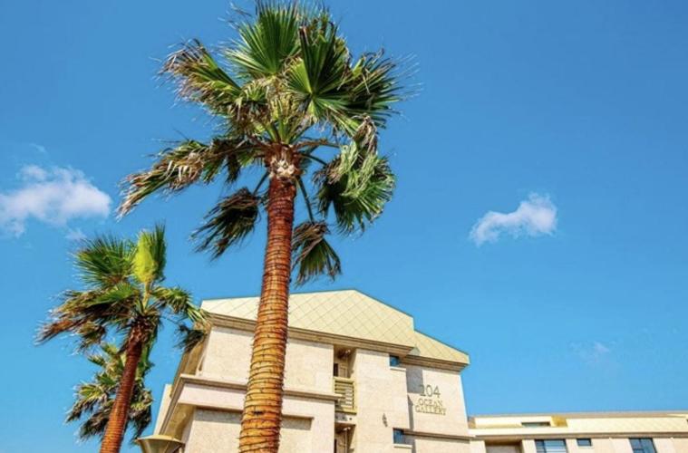 Ocean Gallery Hotel & Resort view 2