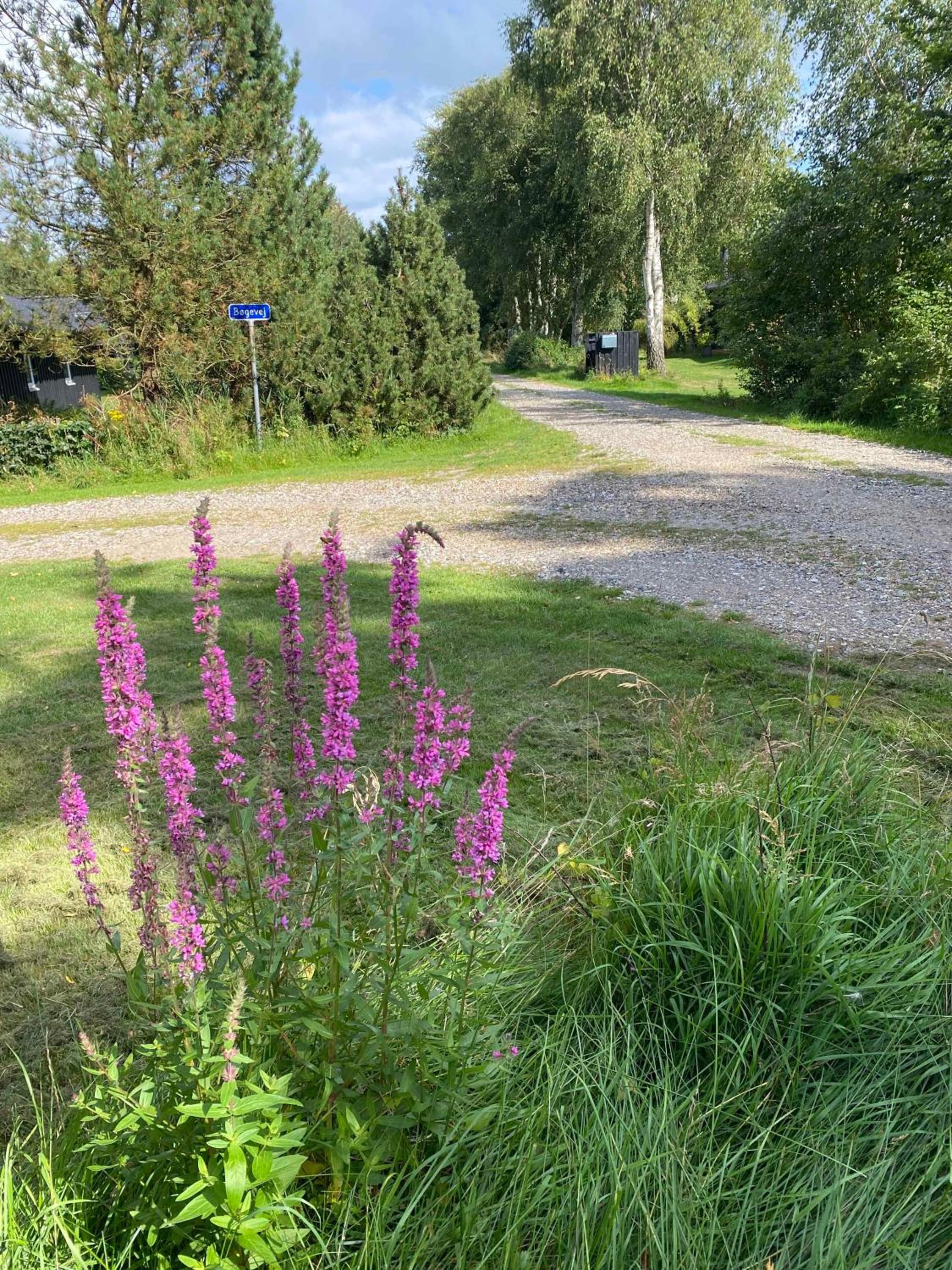 Lovely Holiday Home Near The Limfjord