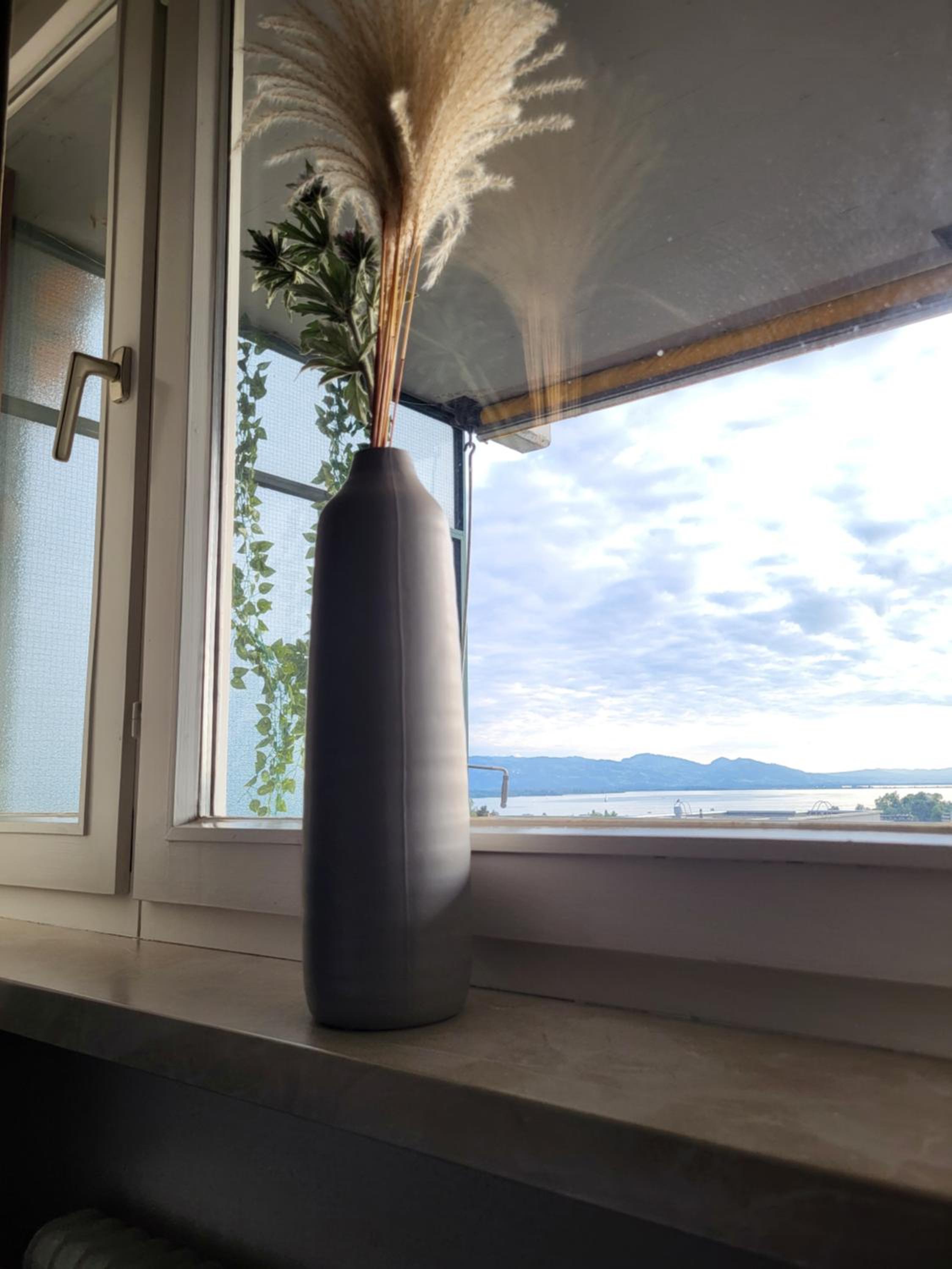 Apartment mit Terassee & Aussicht auf See und Berge