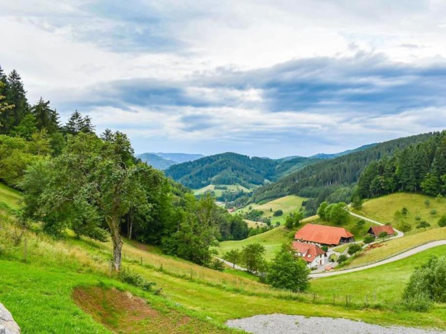 Loft mit Whirlpool & Fass-Sauna im Schwarzwald
