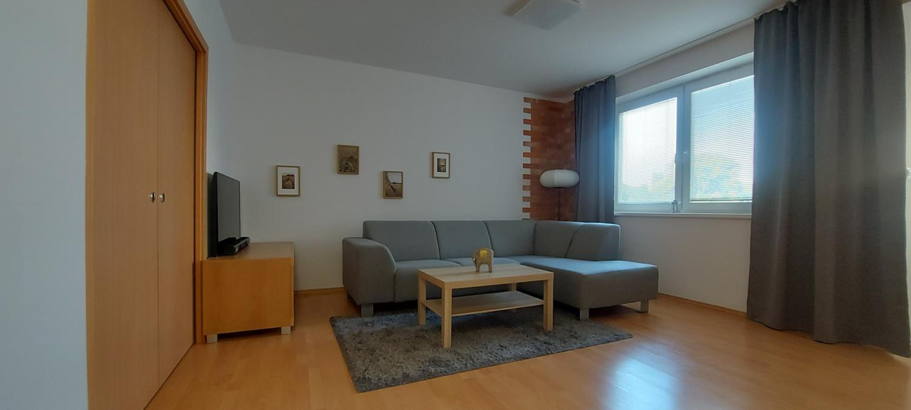 Apartmán Lodenica s terasou