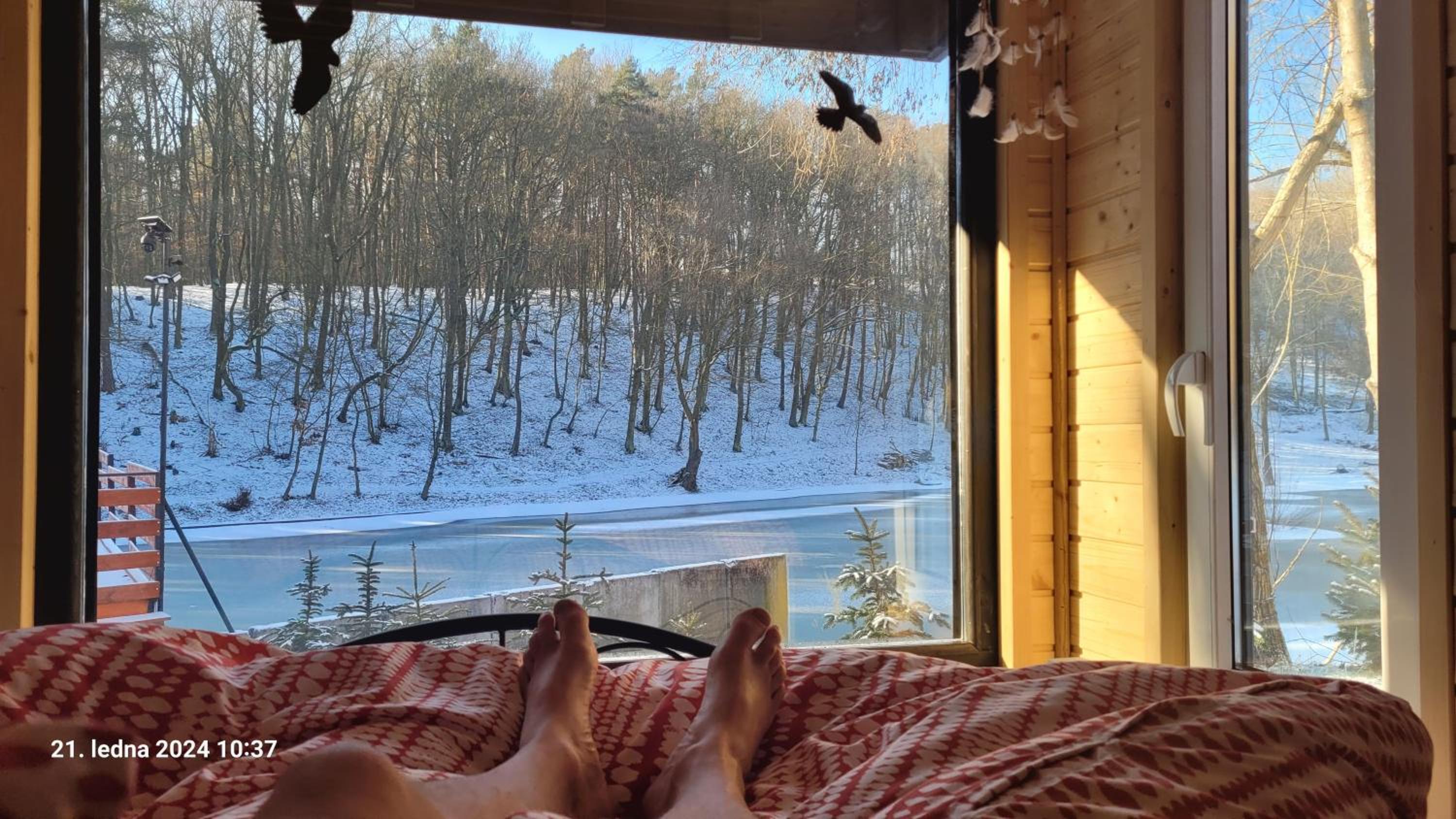 Glamping U žabky