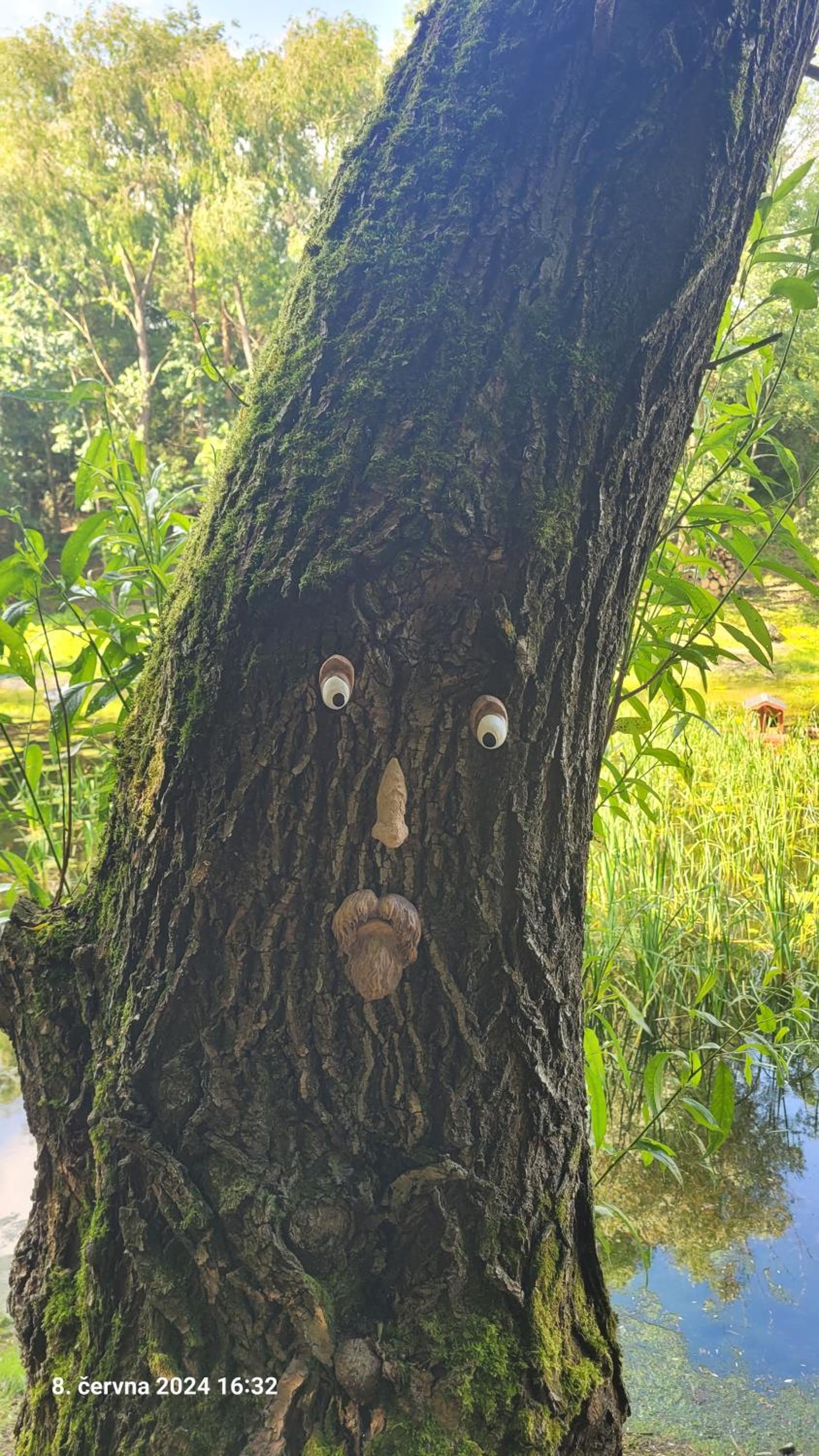Glamping U žabky