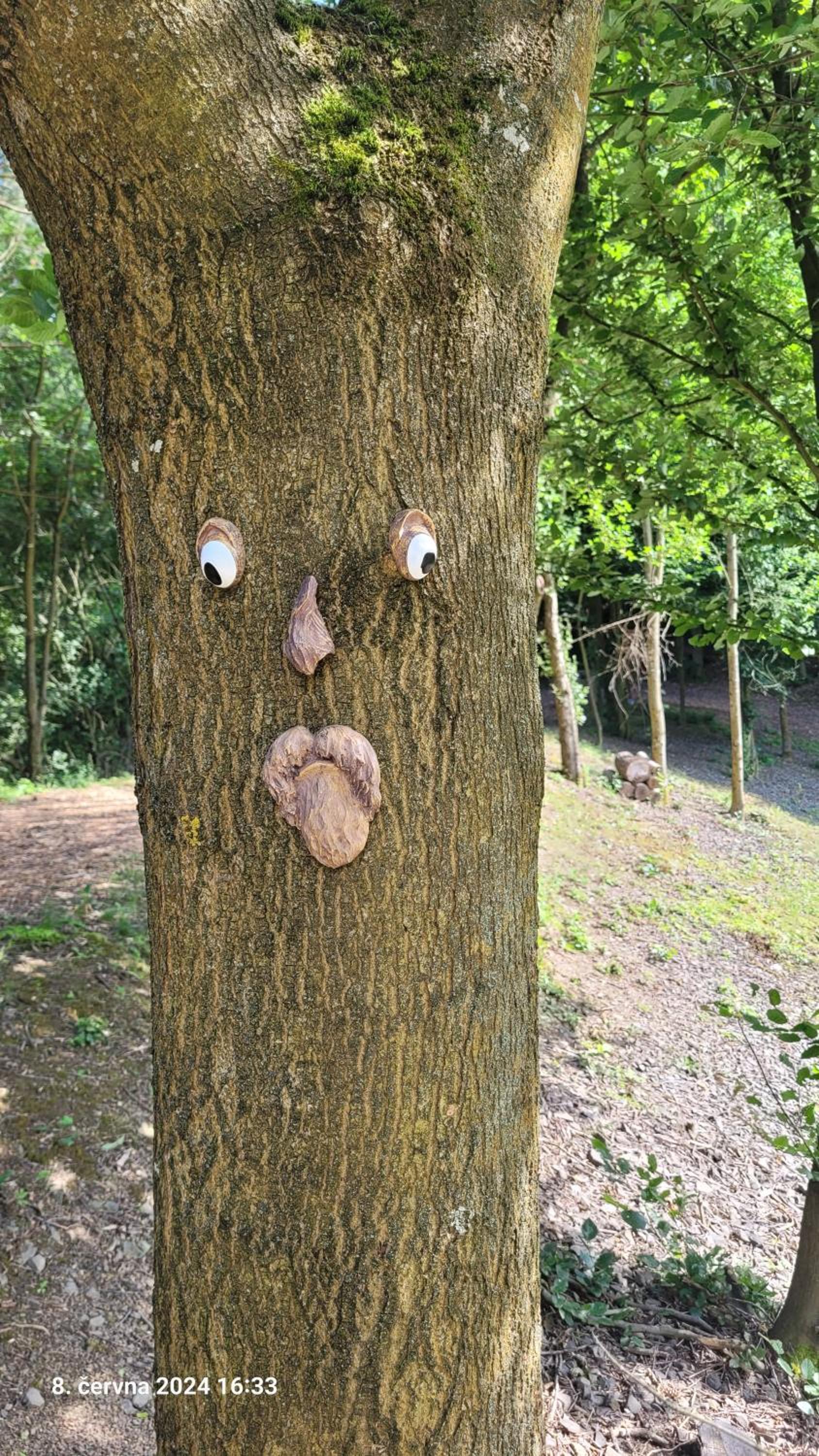 Glamping U žabky