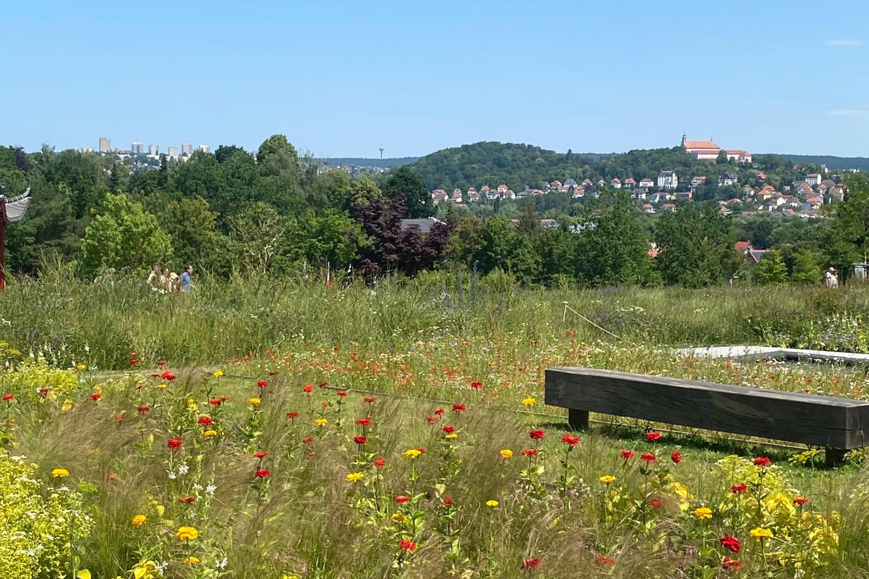 RHÖN GLÜCK - Die Ferienwohnung mit Weitblick
