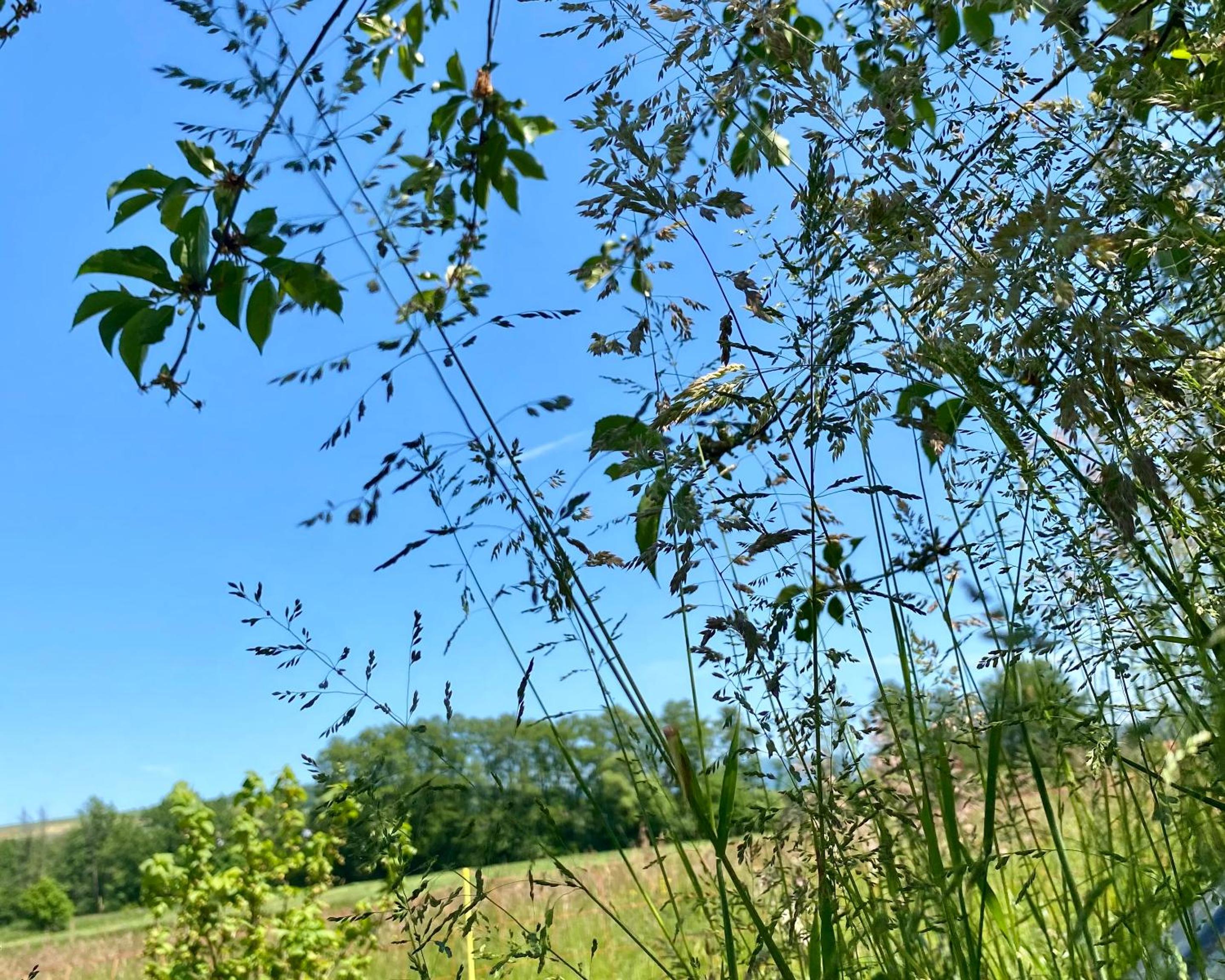 RHÖN GLÜCK - Die Ferienwohnung mit Weitblick