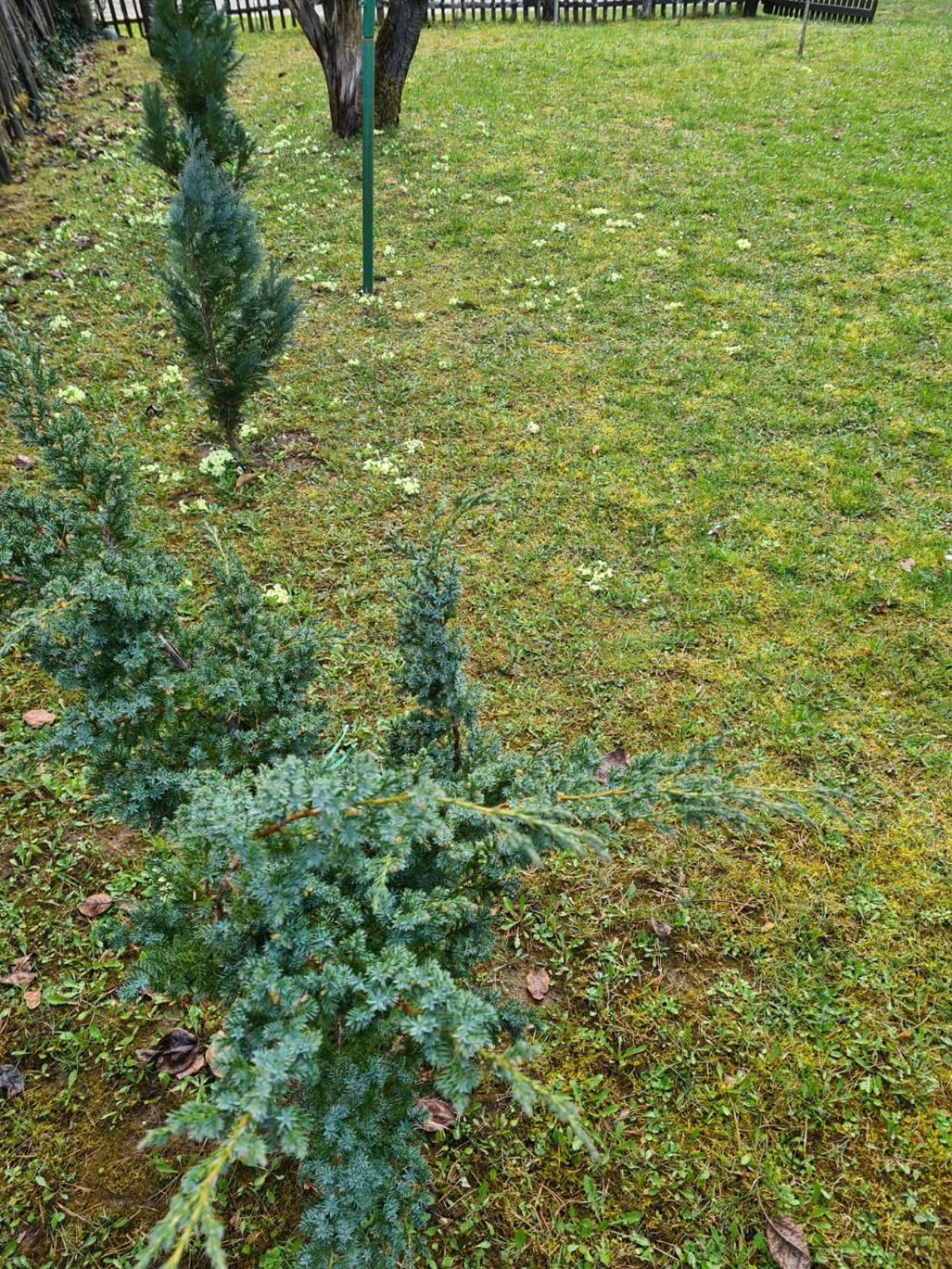 Photo 44