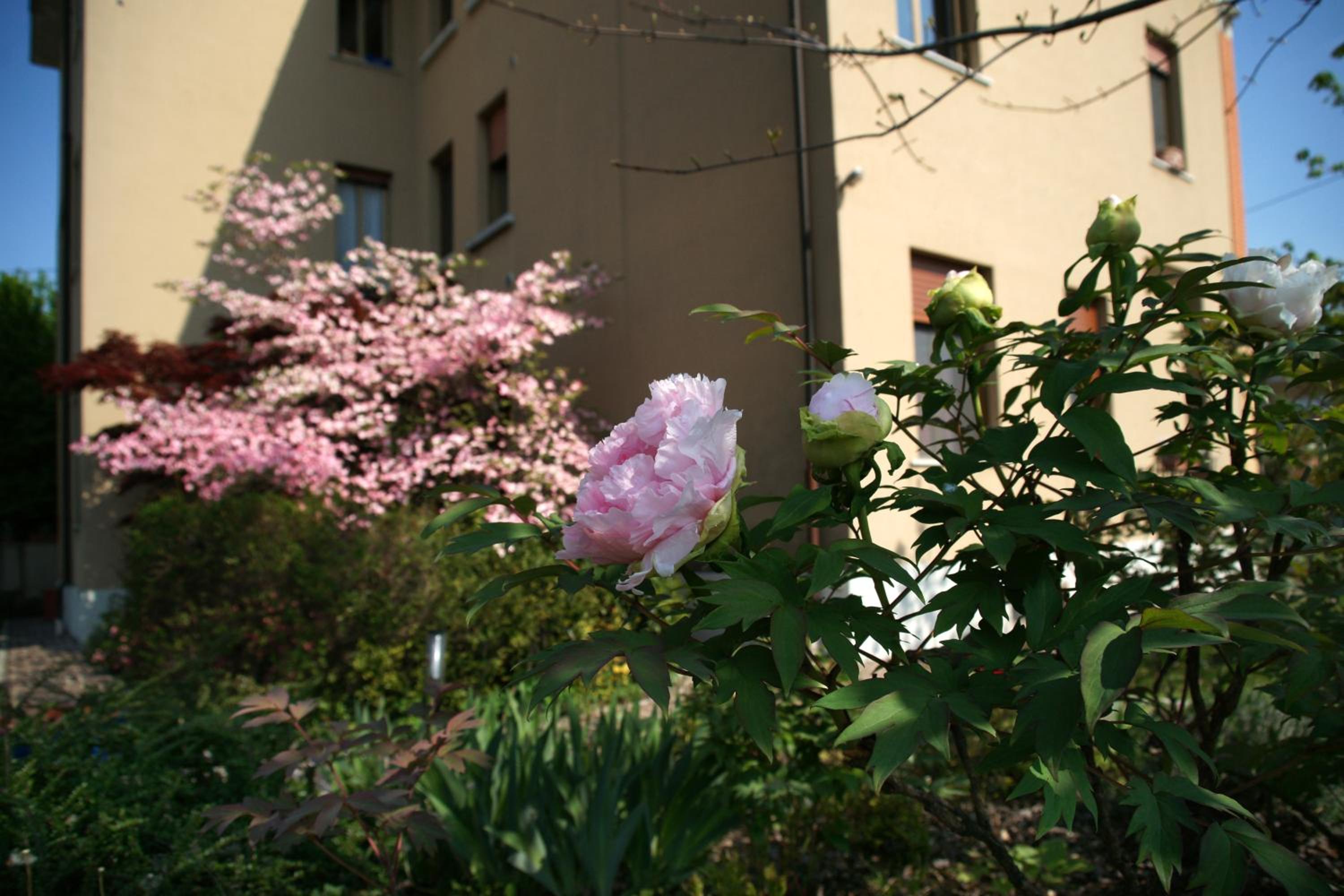Photo 39