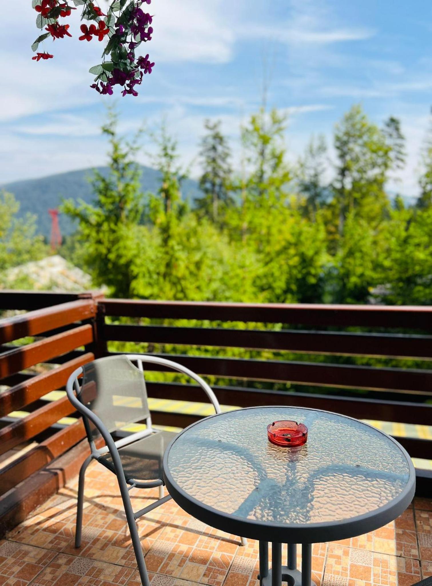 Ski Chalet Sinaia view 2