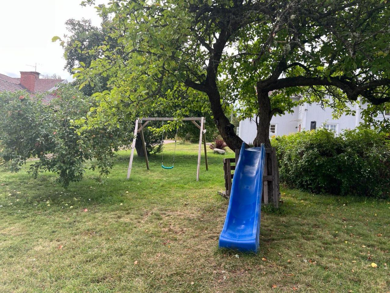 Photo 32