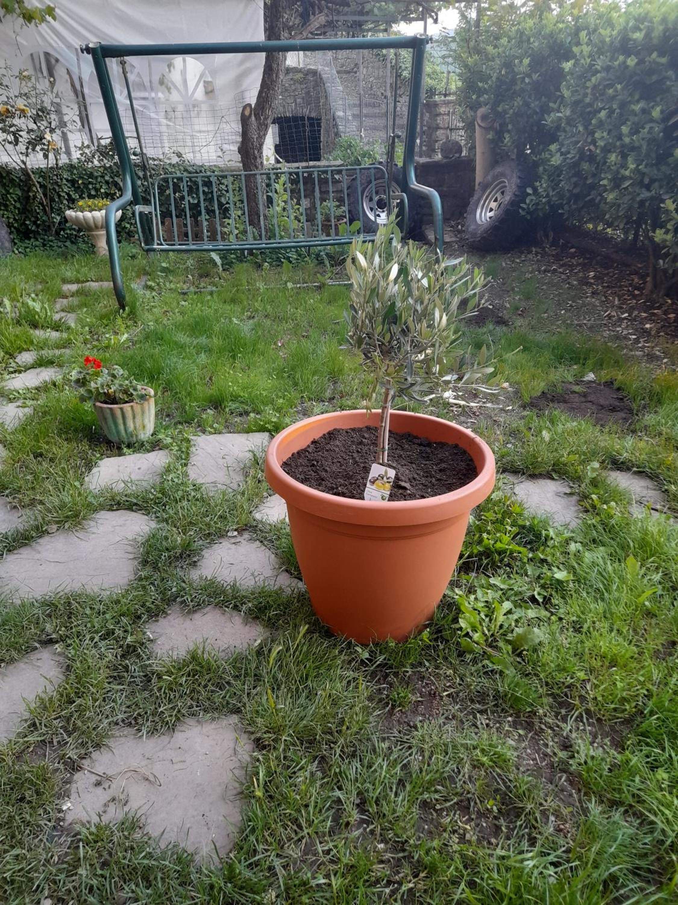 Photo 17