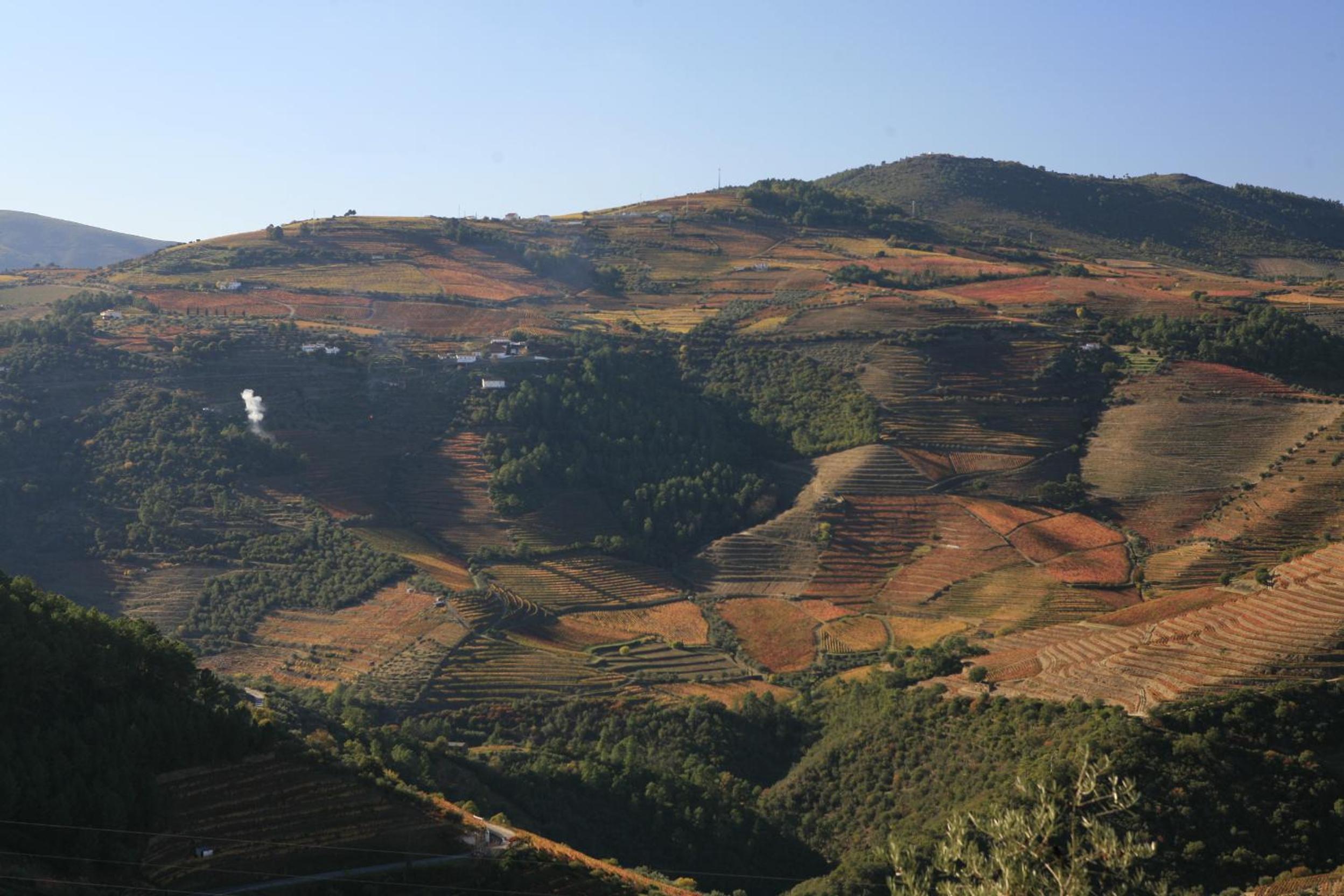 Quinta da Lua Villa Douro Valley