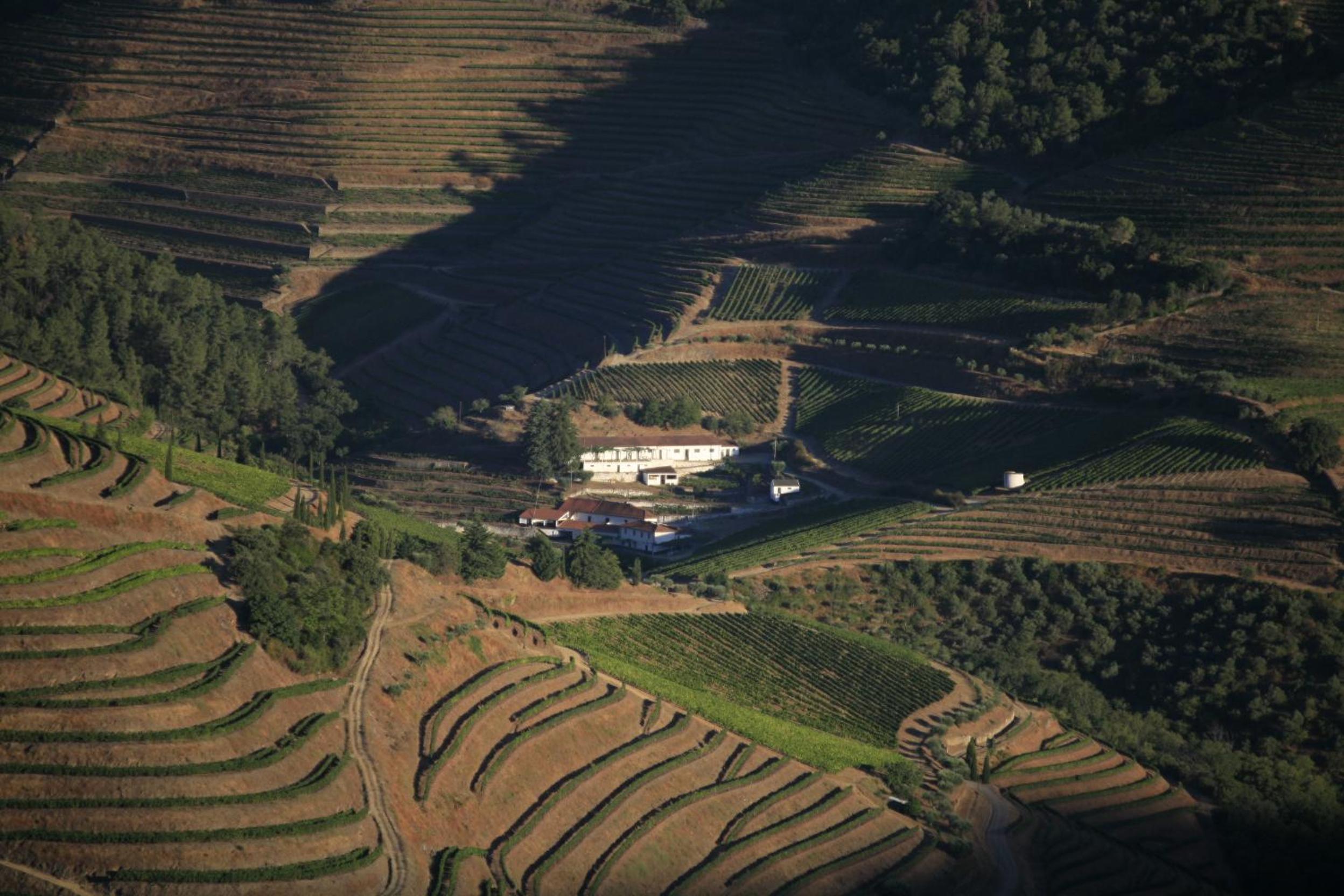 Quinta da Lua Villa Douro Valley