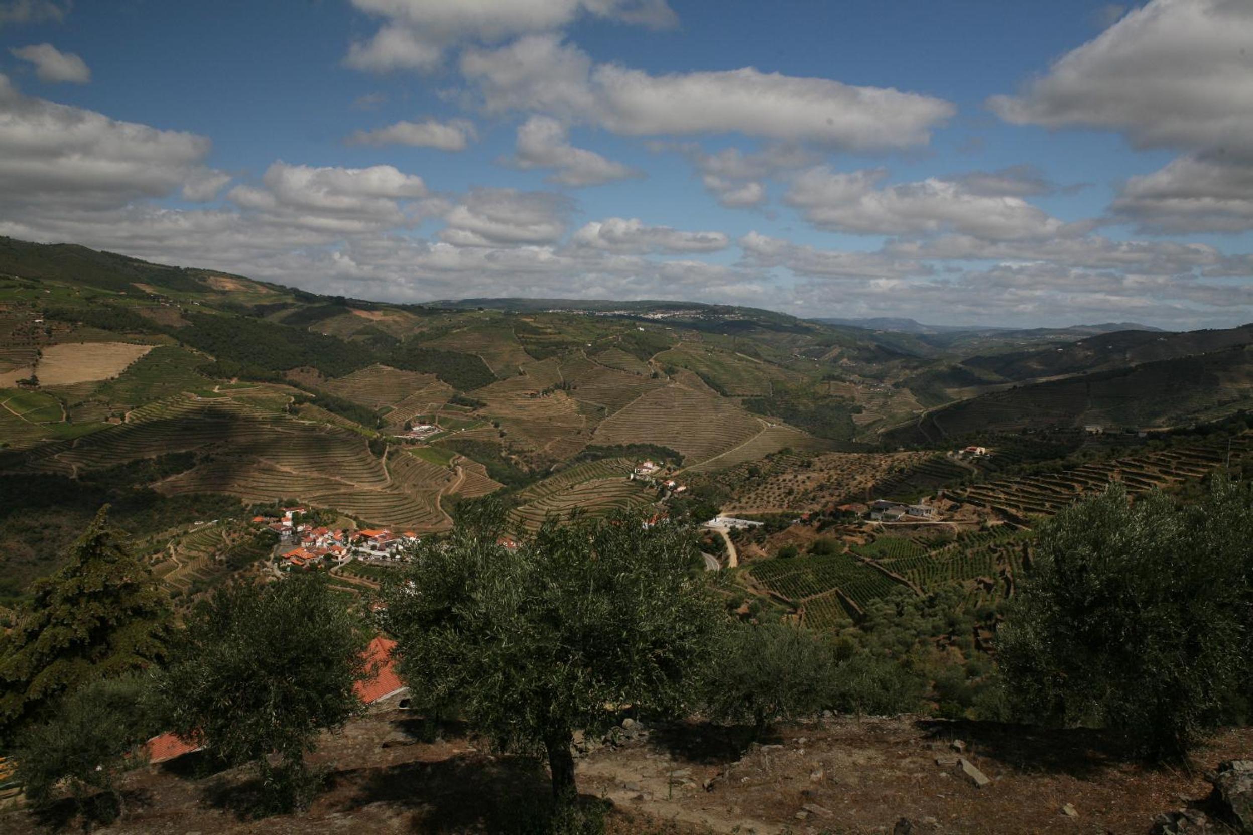 Quinta da Lua Villa Douro Valley