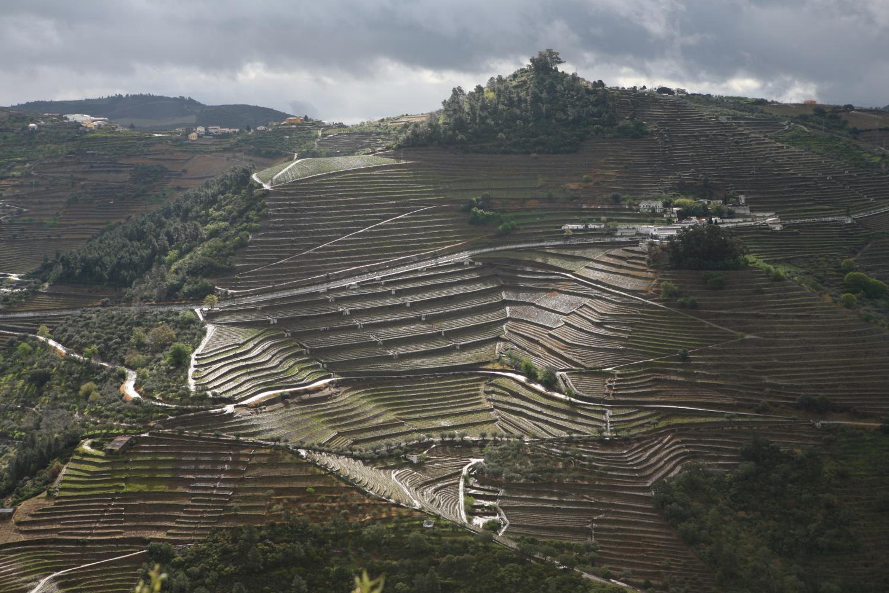 Quinta da Lua Villa Douro Valley