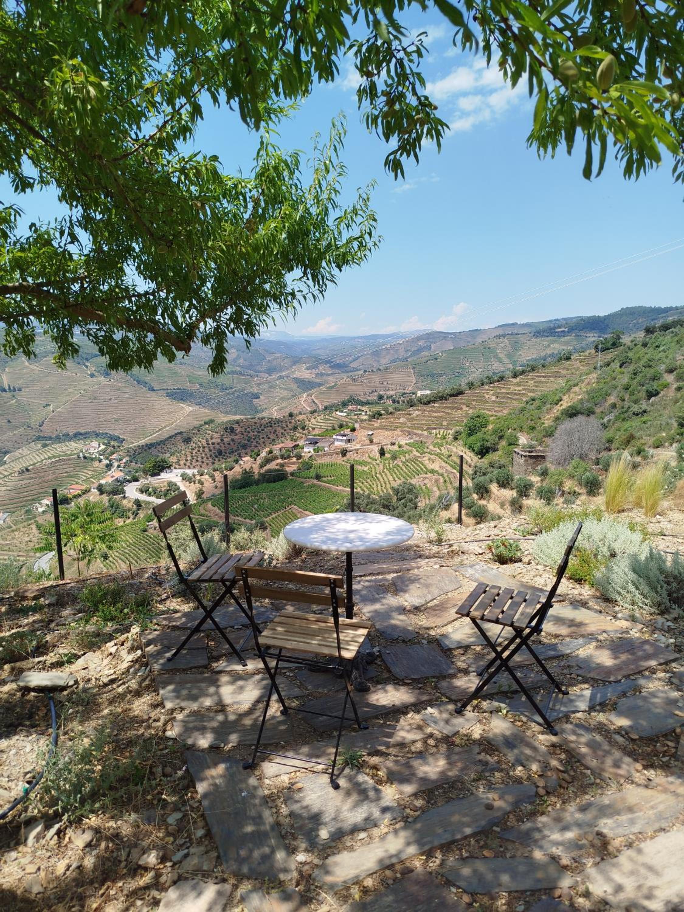 Quinta da Lua Villa Douro Valley