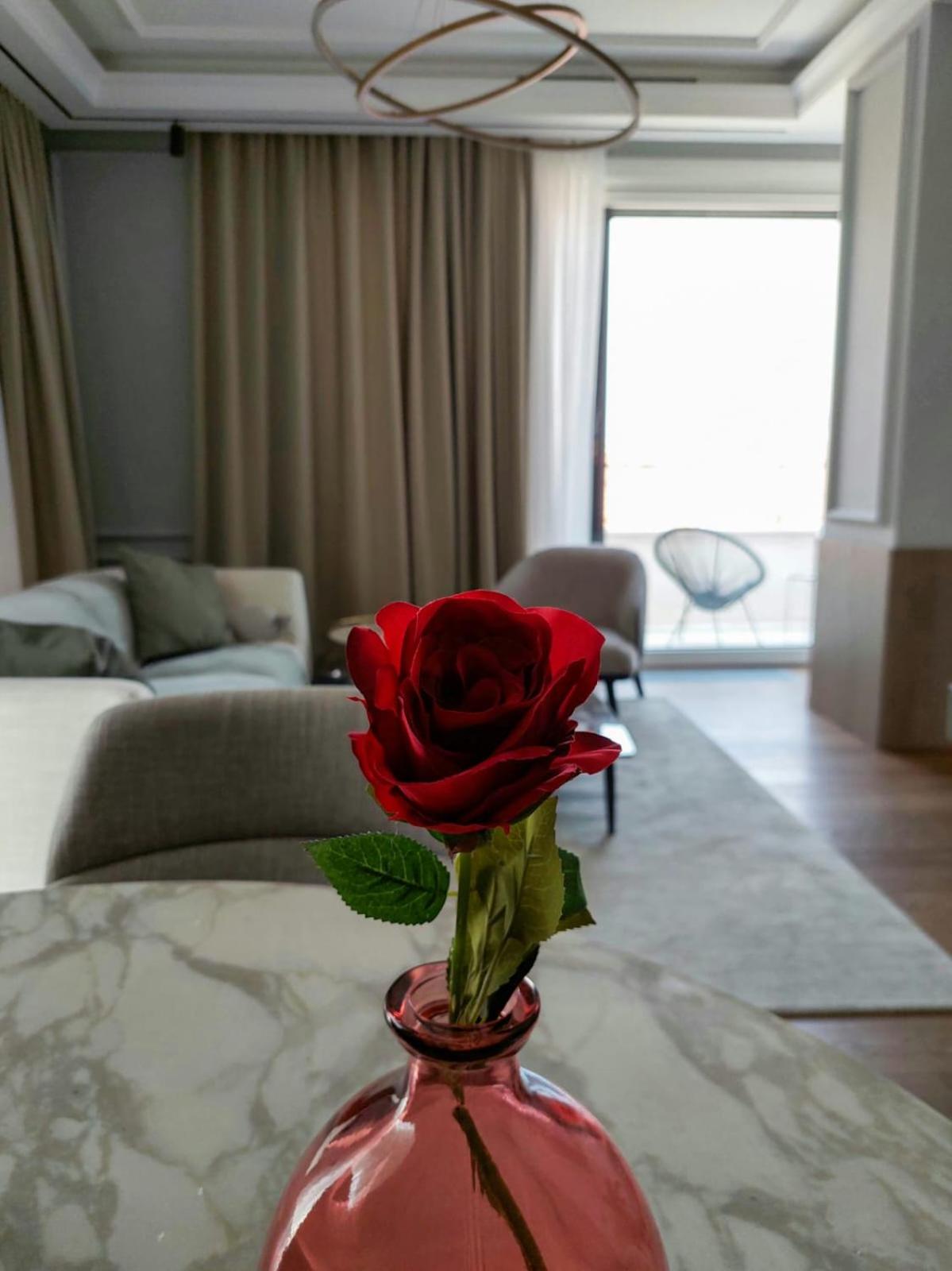 Unique Premium Penthouse with Spa and Garage in Dedinje