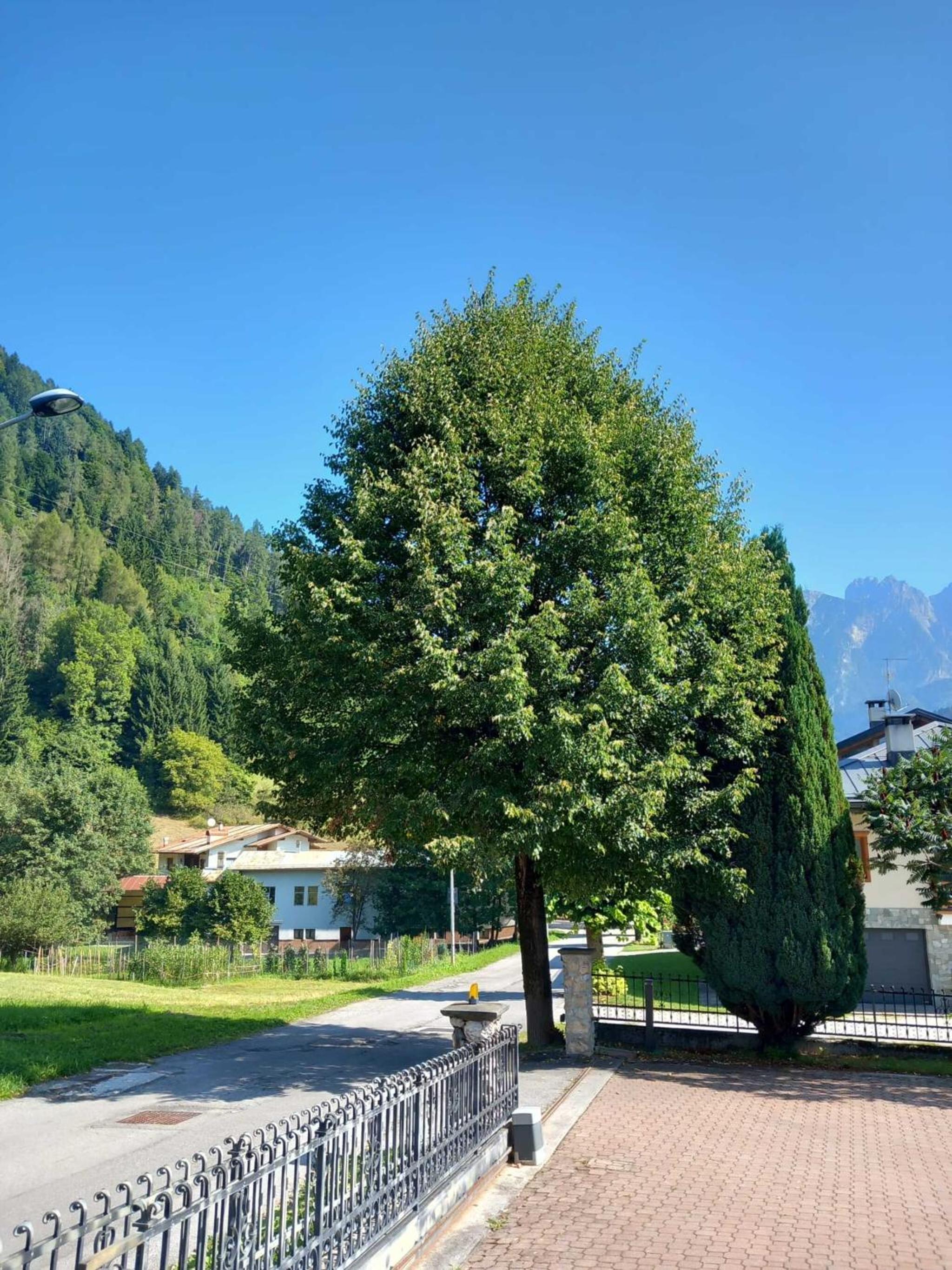 Verdi Armonie Rooms and Wellness view 2
