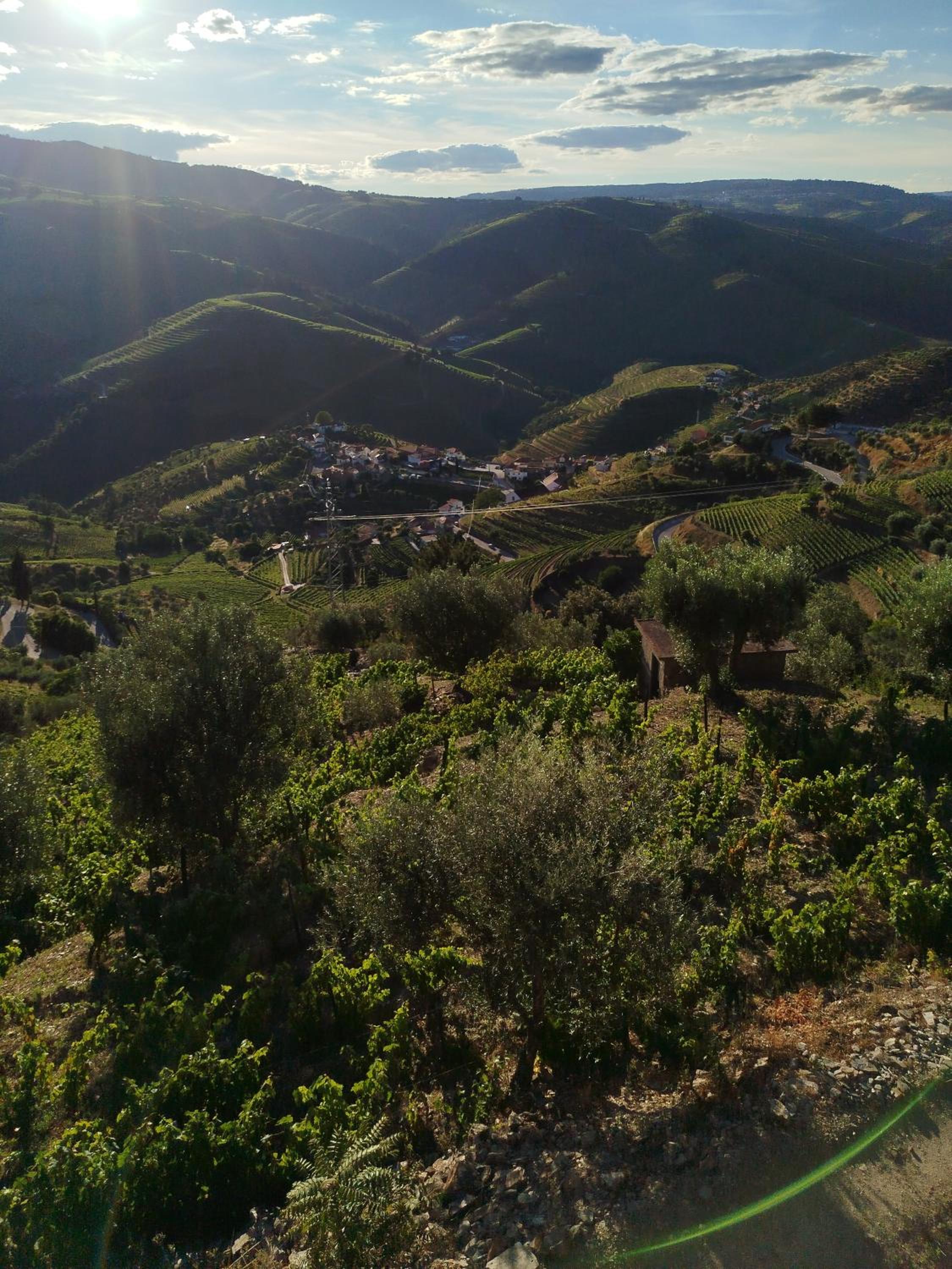 Quinta da Lua Villa Douro Valley