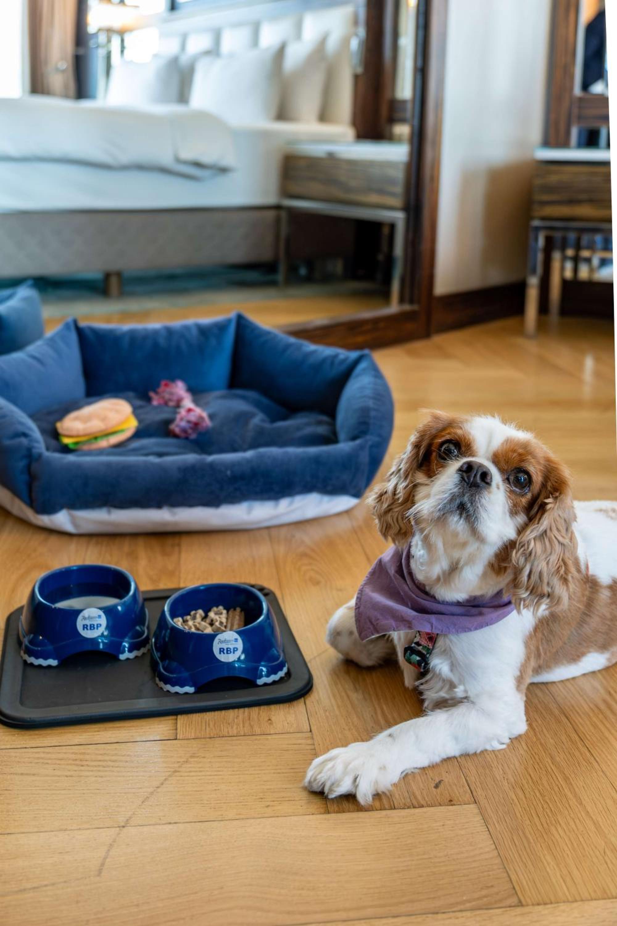 Radisson Blu Hotel Istanbul Pera - Image 101