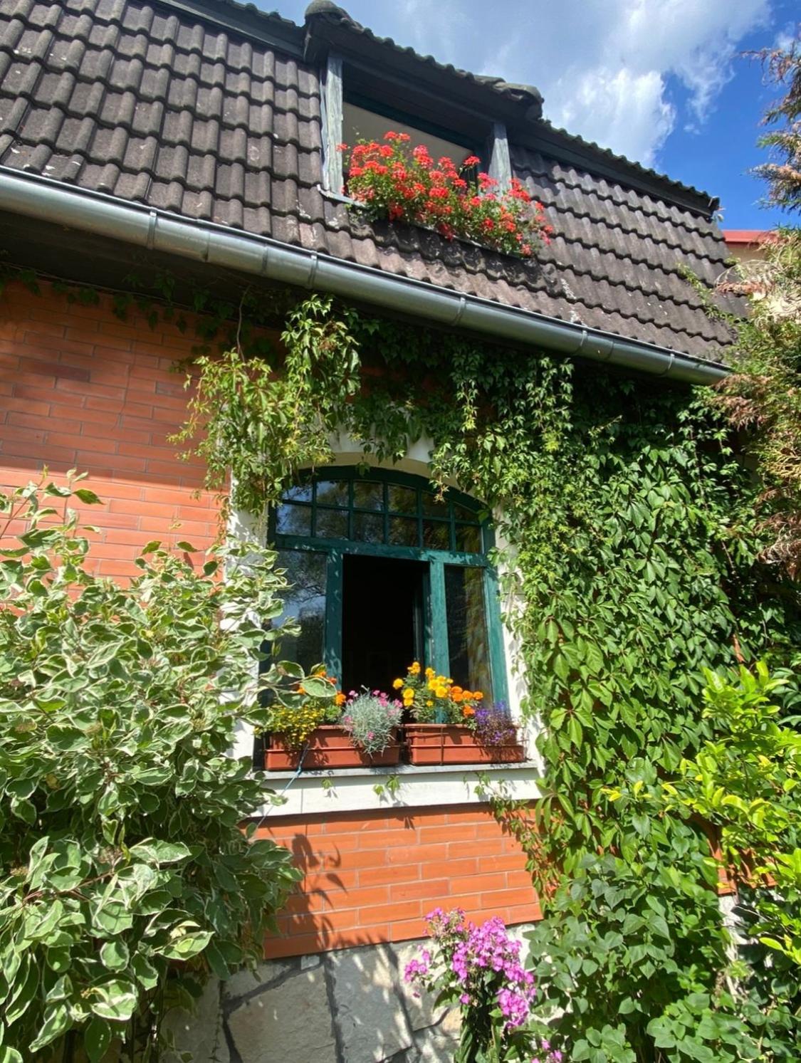 Apartmán Dům U Koulí