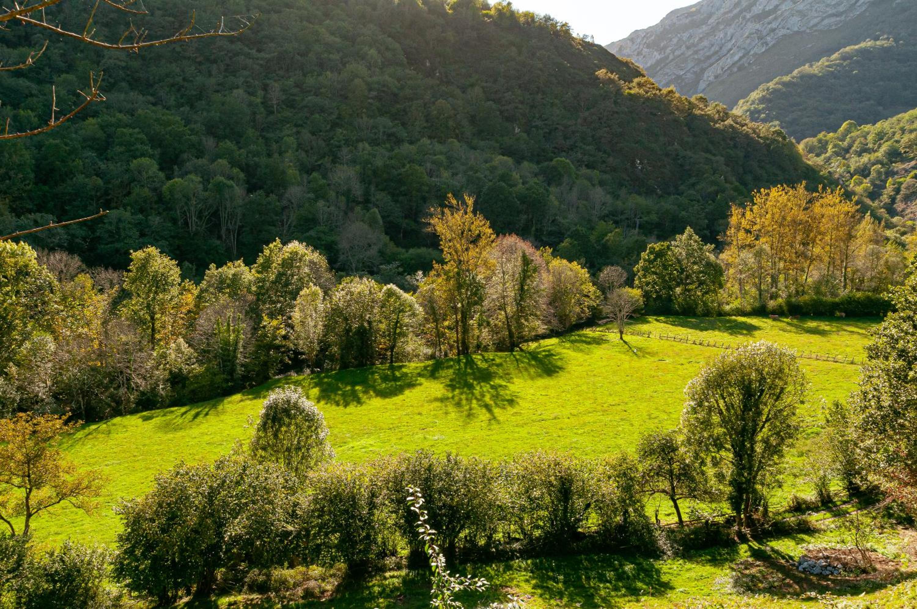 Aguas Parque Ponga