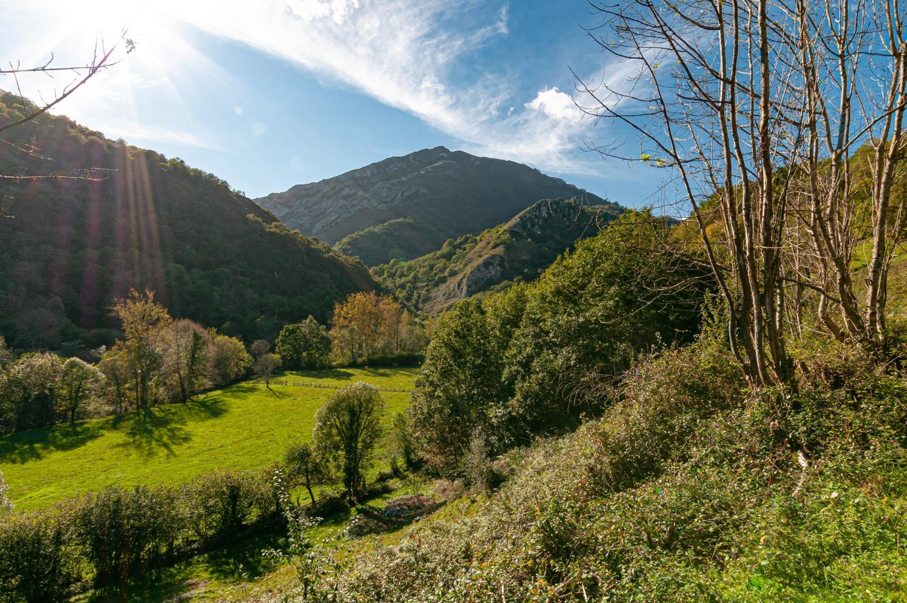 Aguas Parque Ponga