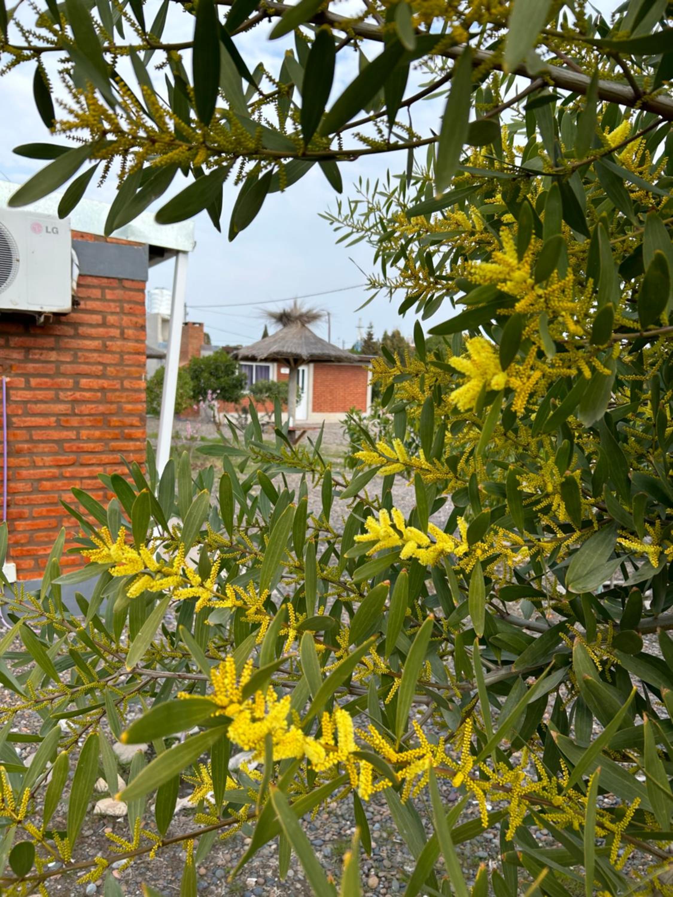 Cabañas La Enriqueta