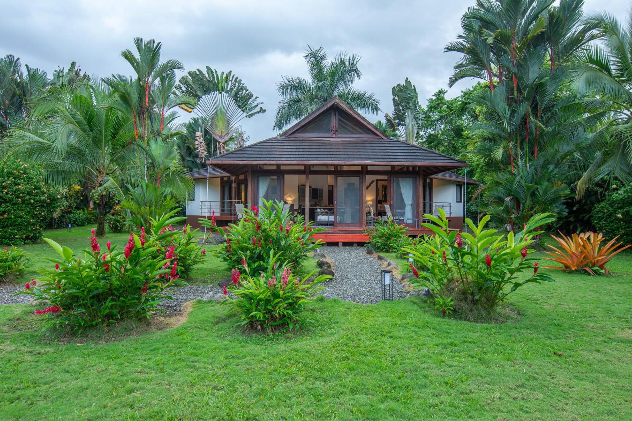 Three Monkeys - Close to Cahuita National Park