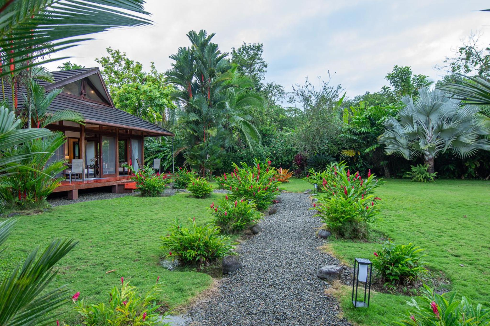 Three Monkeys - Close to Cahuita National Park