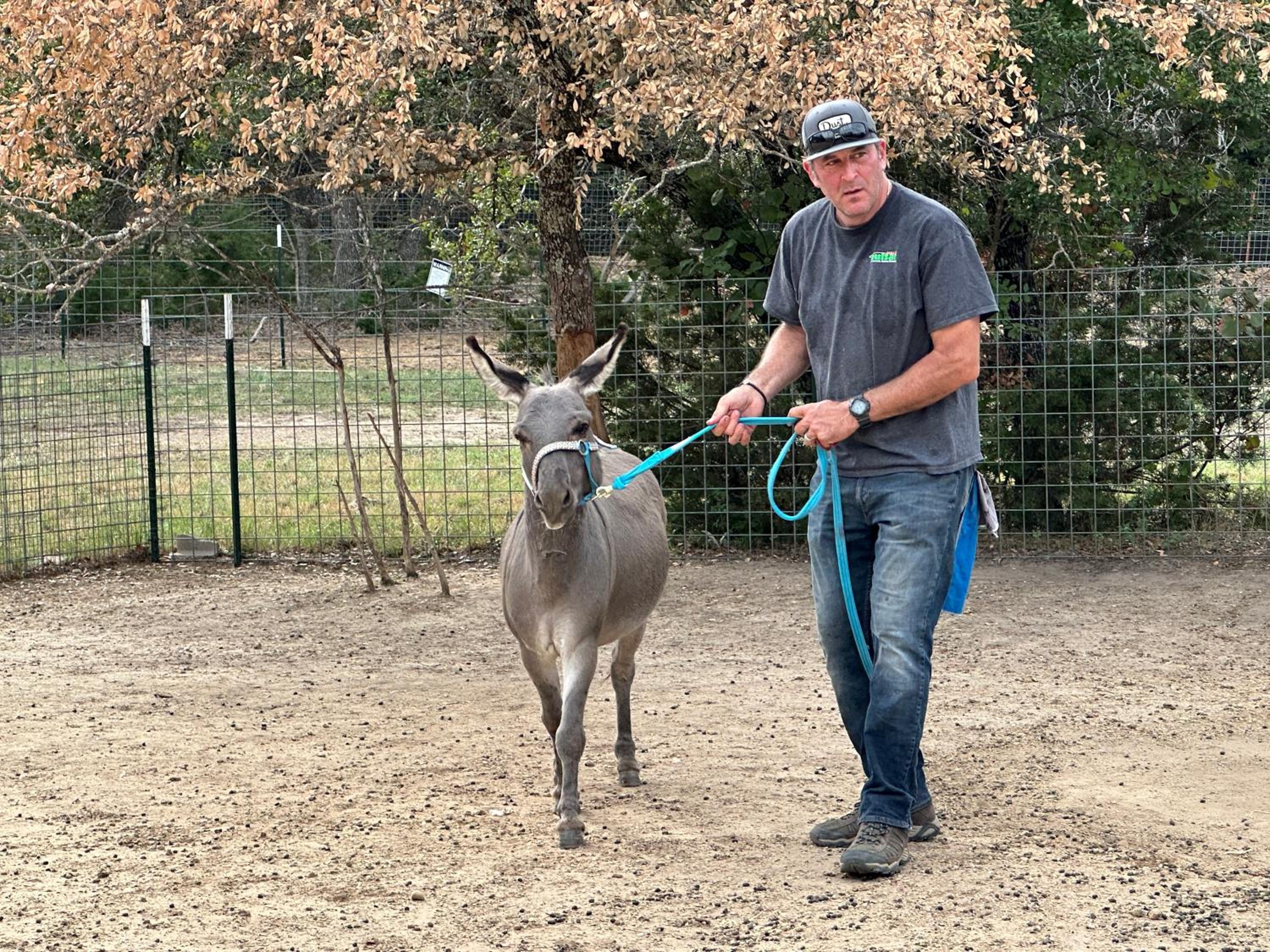 7 Hico Glamping Farm Animals Campfire near Glen Rose by Vacation Your Way