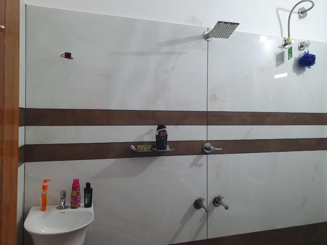 Pushpas homestay