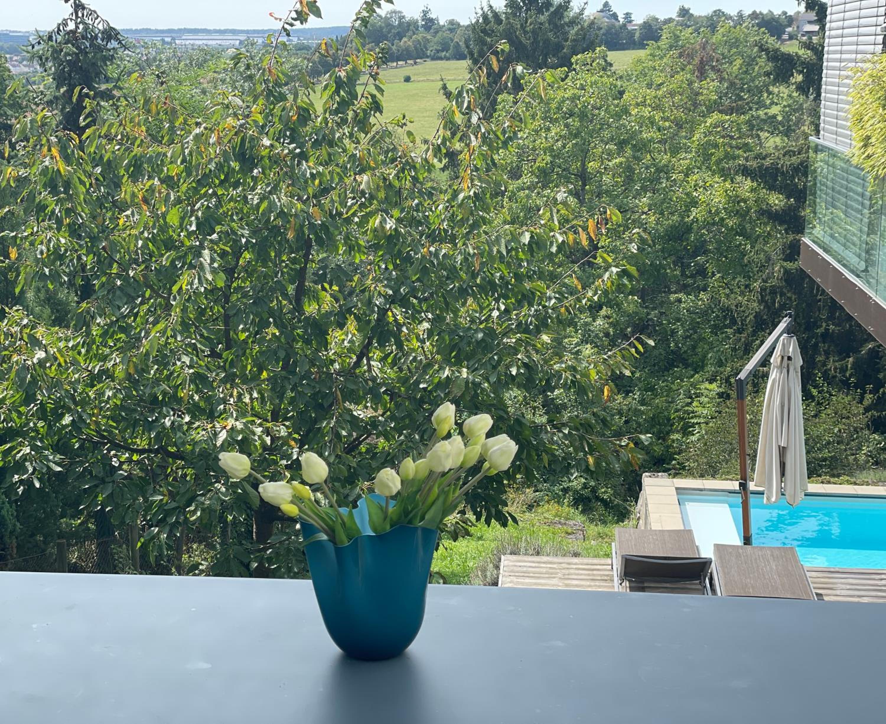 Modern Villa with panoramic view