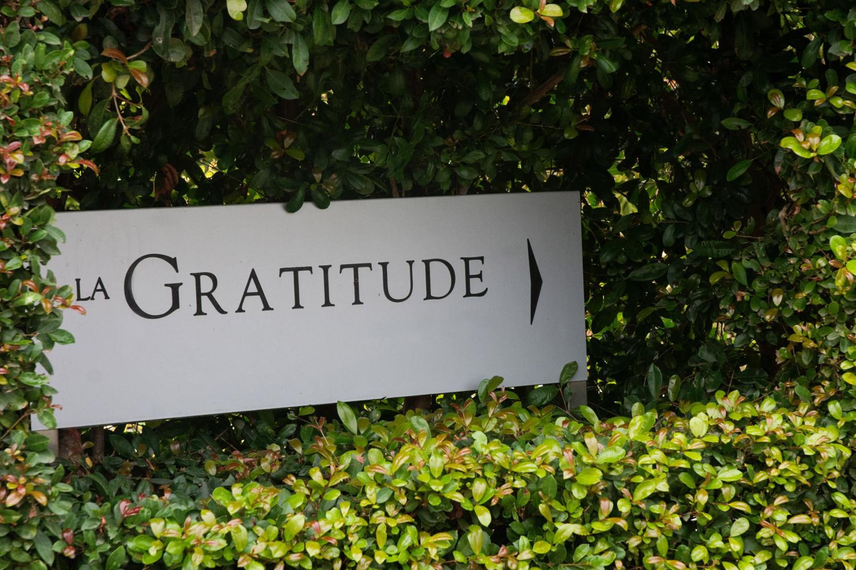 Avemore Lagratitude no6 - with full backup power
