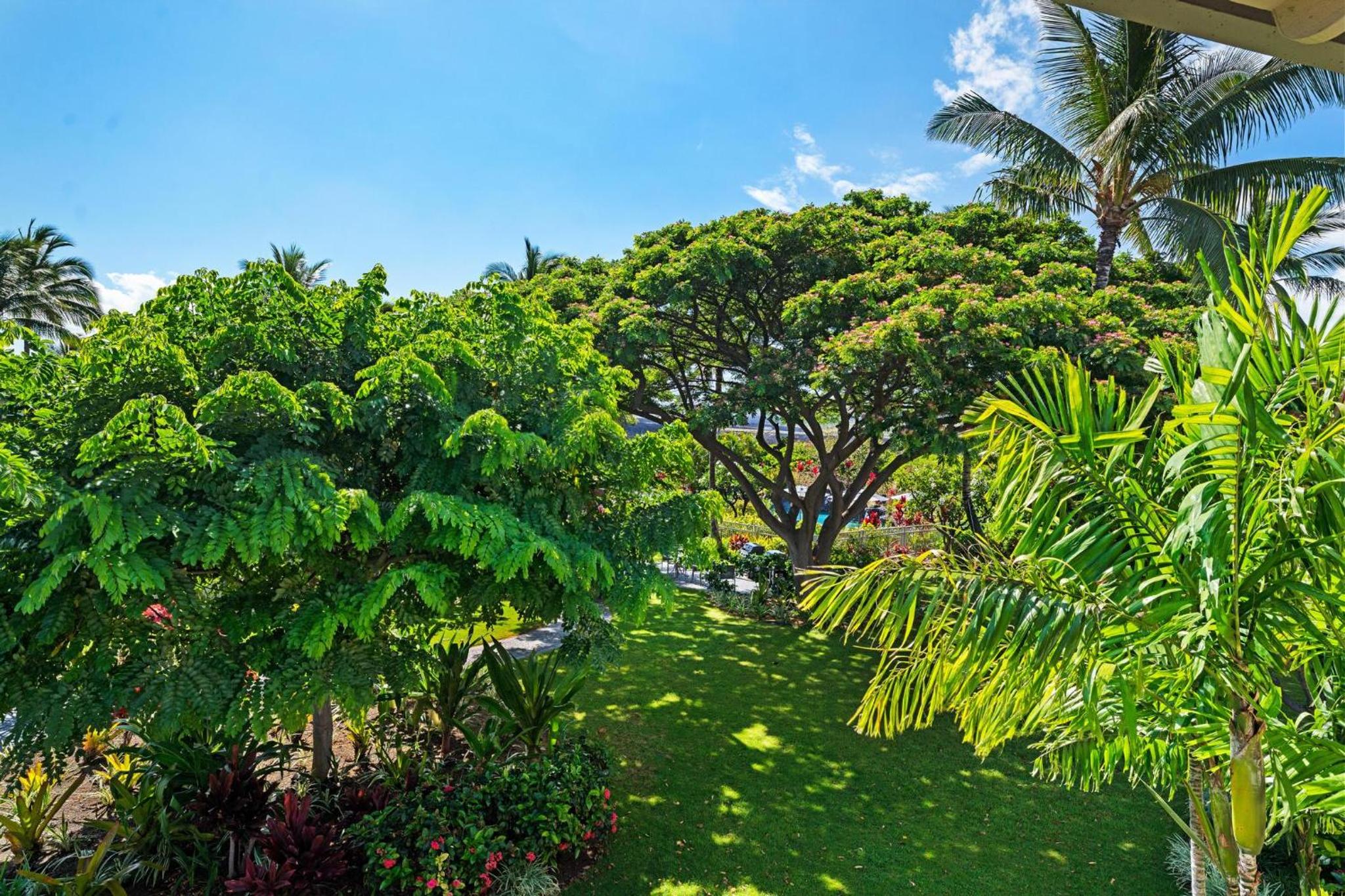 B1 Waikoloa Beach Villas view 5