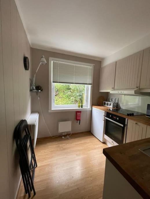 Central apartment near the Fløibanen, cable car view 2