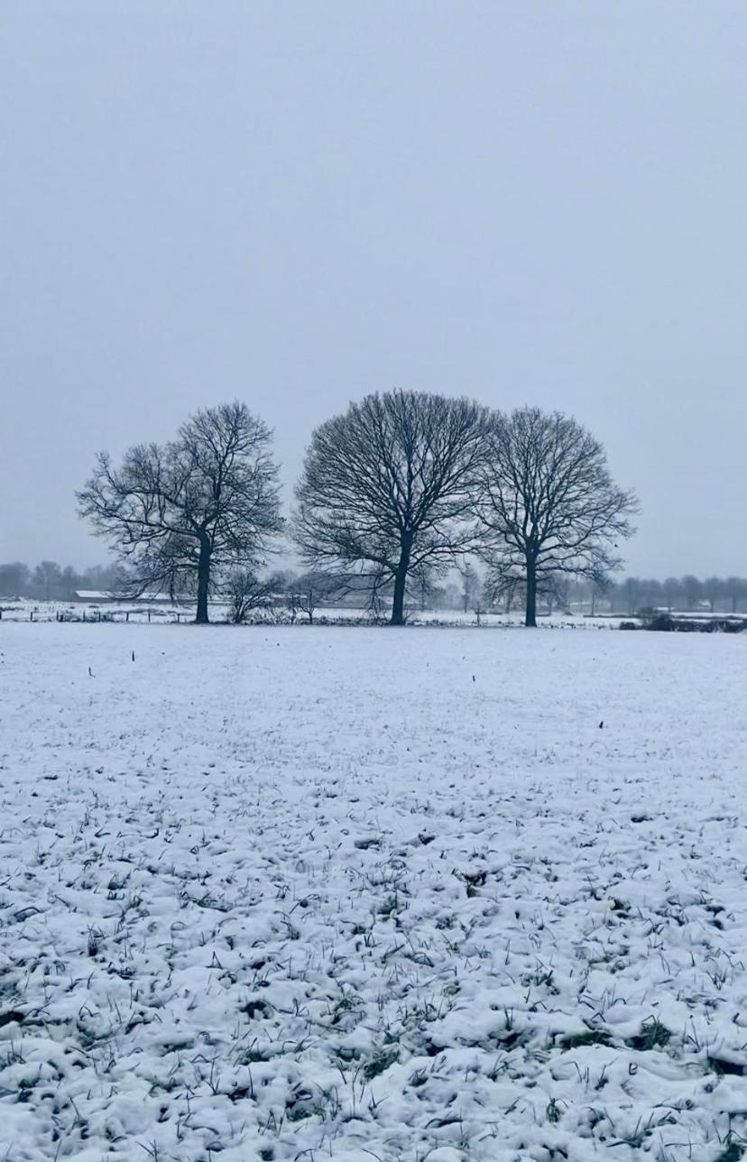 Hoeve De Kleinheide - De Schuur