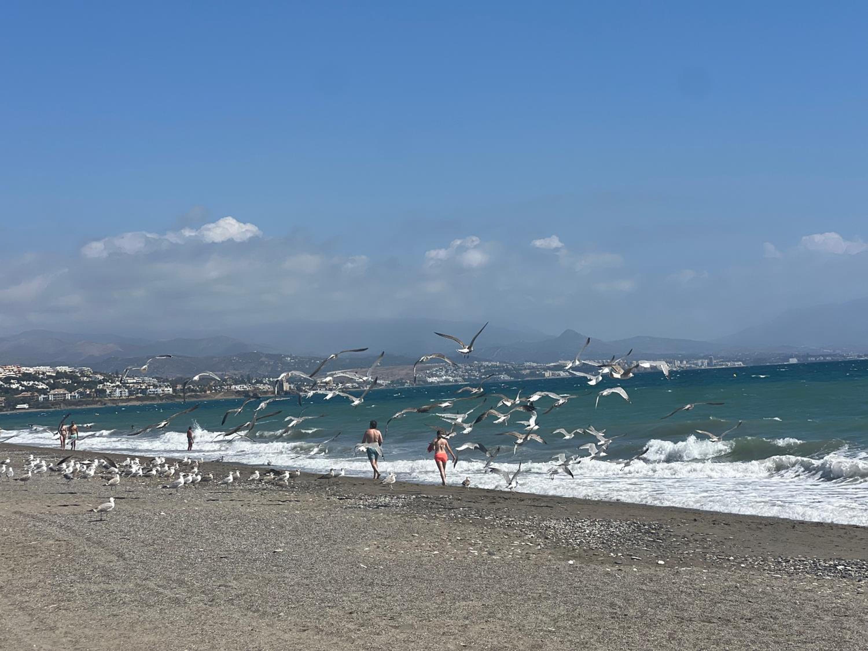 Puerto De La Duquesa