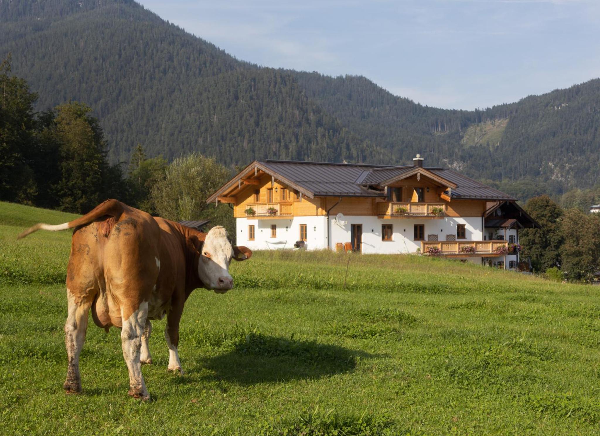 Ferienwohnung Hirnsberglehen