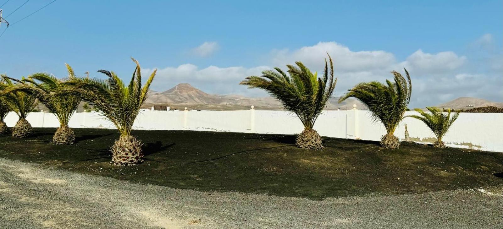 Finca PiedraNegra