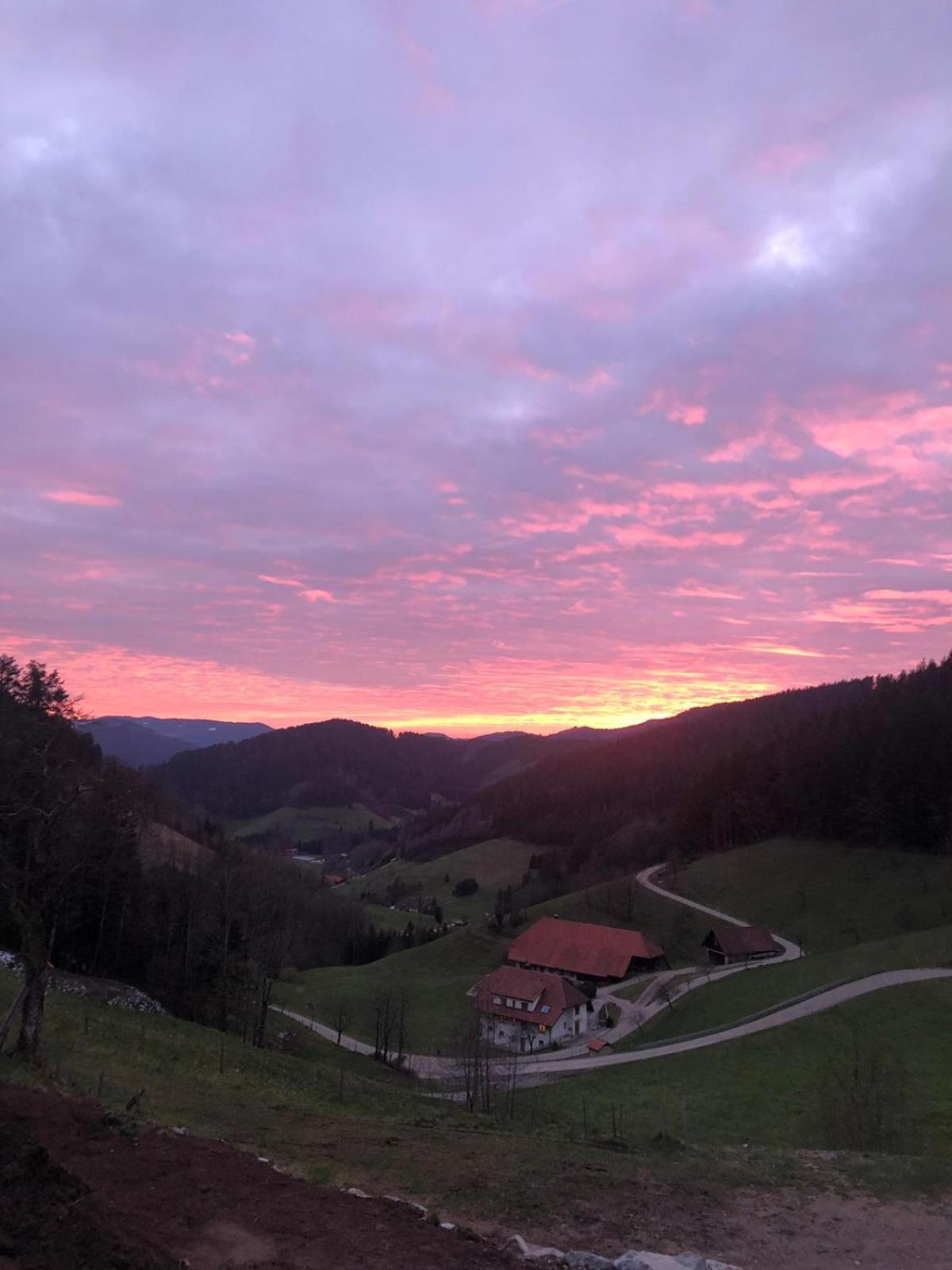 FeWo mit Whirlpool, Infrarot-Sauna & Schwarzwaldblick