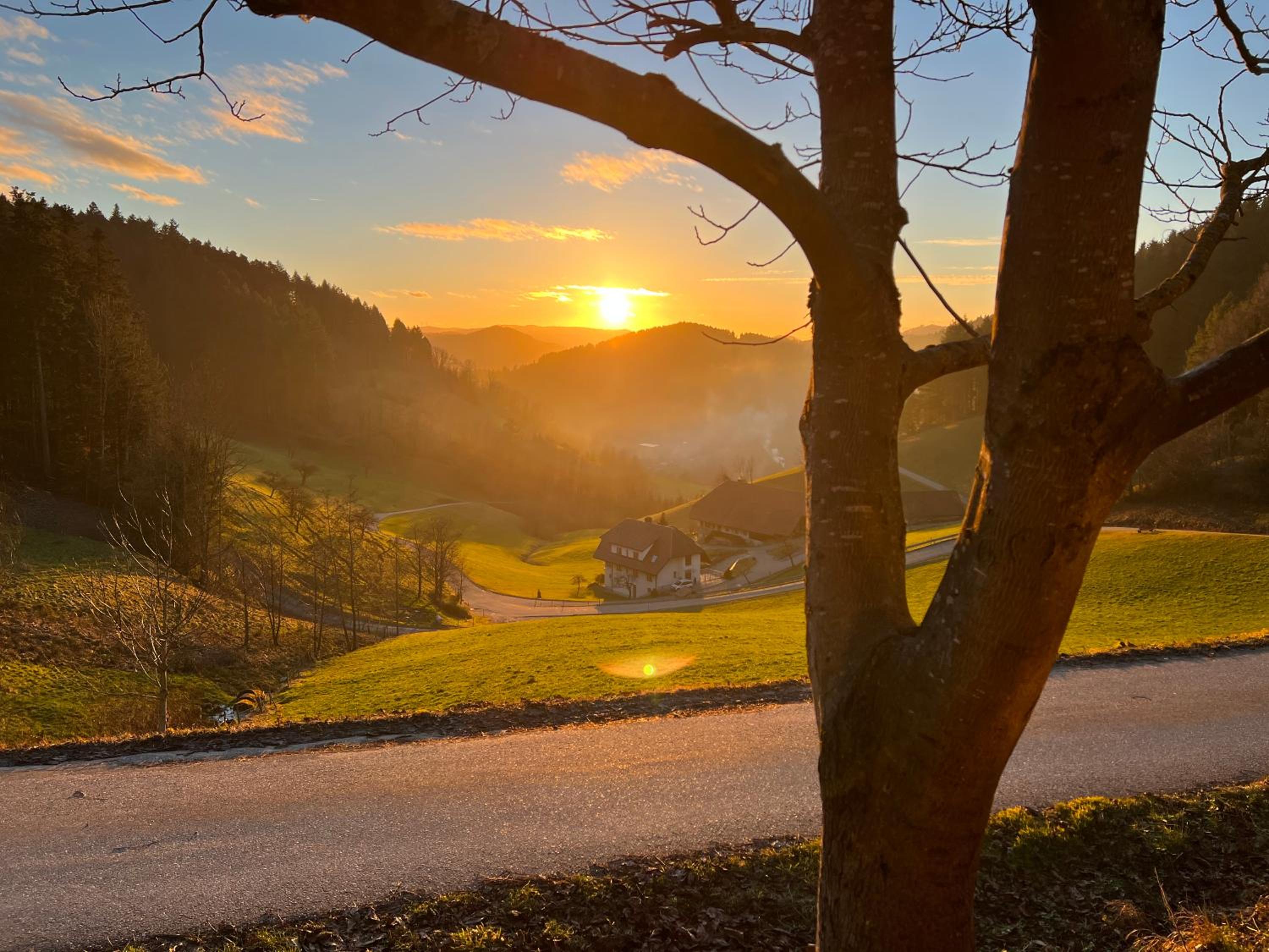 FeWo mit Whirlpool, Infrarot-Sauna & Schwarzwaldblick